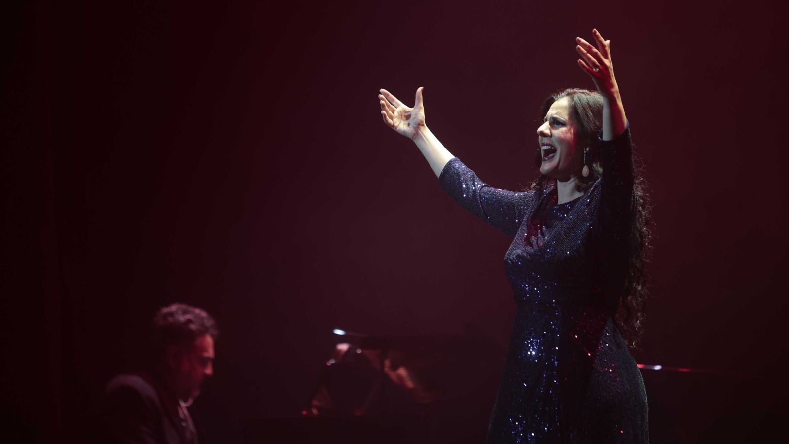 Las fotos del concierto de Diana Navarro