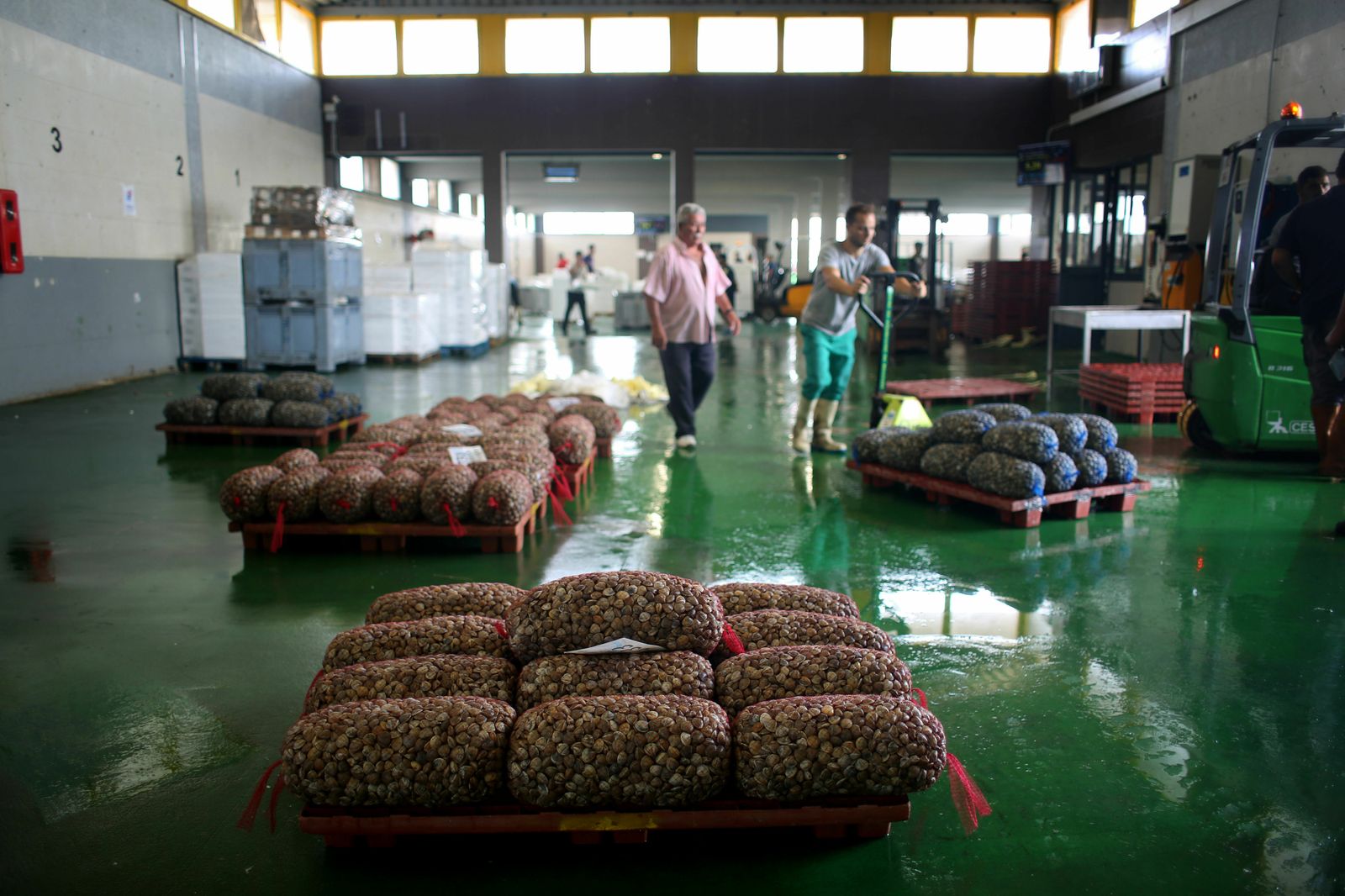 Lonja de Isla Cristina con las capturas del día listas para su venta.