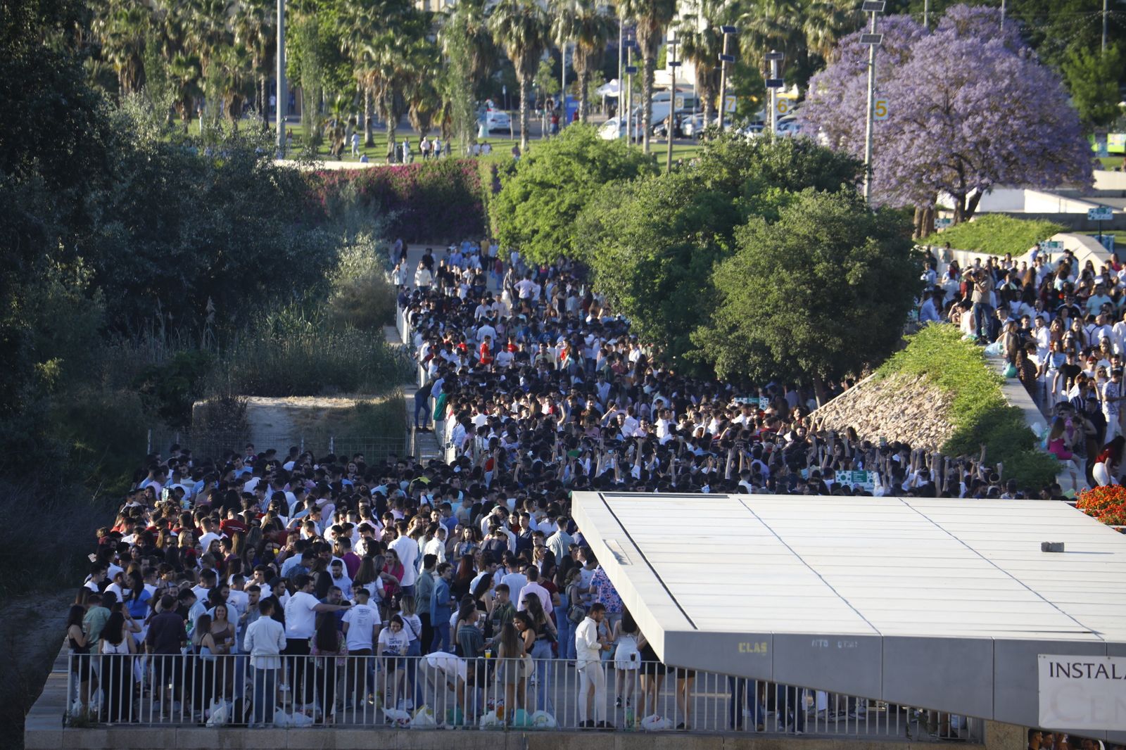 Feria de Córdoba: Las imágenes del botellón multitudinario, en imágenes
