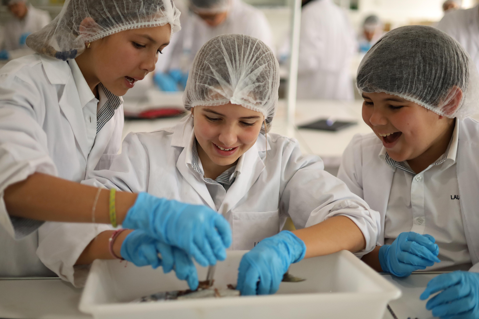 Celebrando el Esfuerzo y Dedicación de Nuestros Alumnos