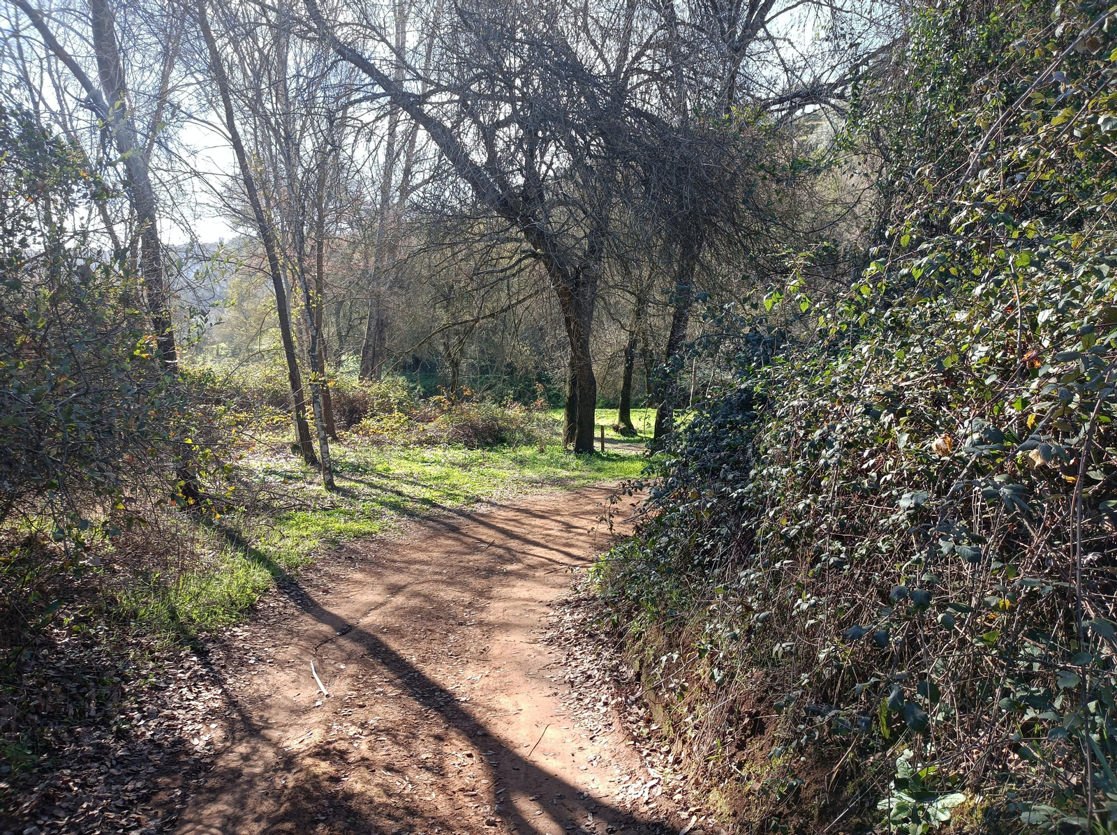 Las fotos de la circular de los Molinos del Ciudadeja