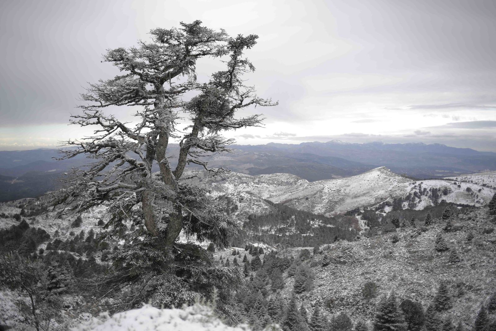 La excursiones a los parajes nevados de Málaga, en imágenes