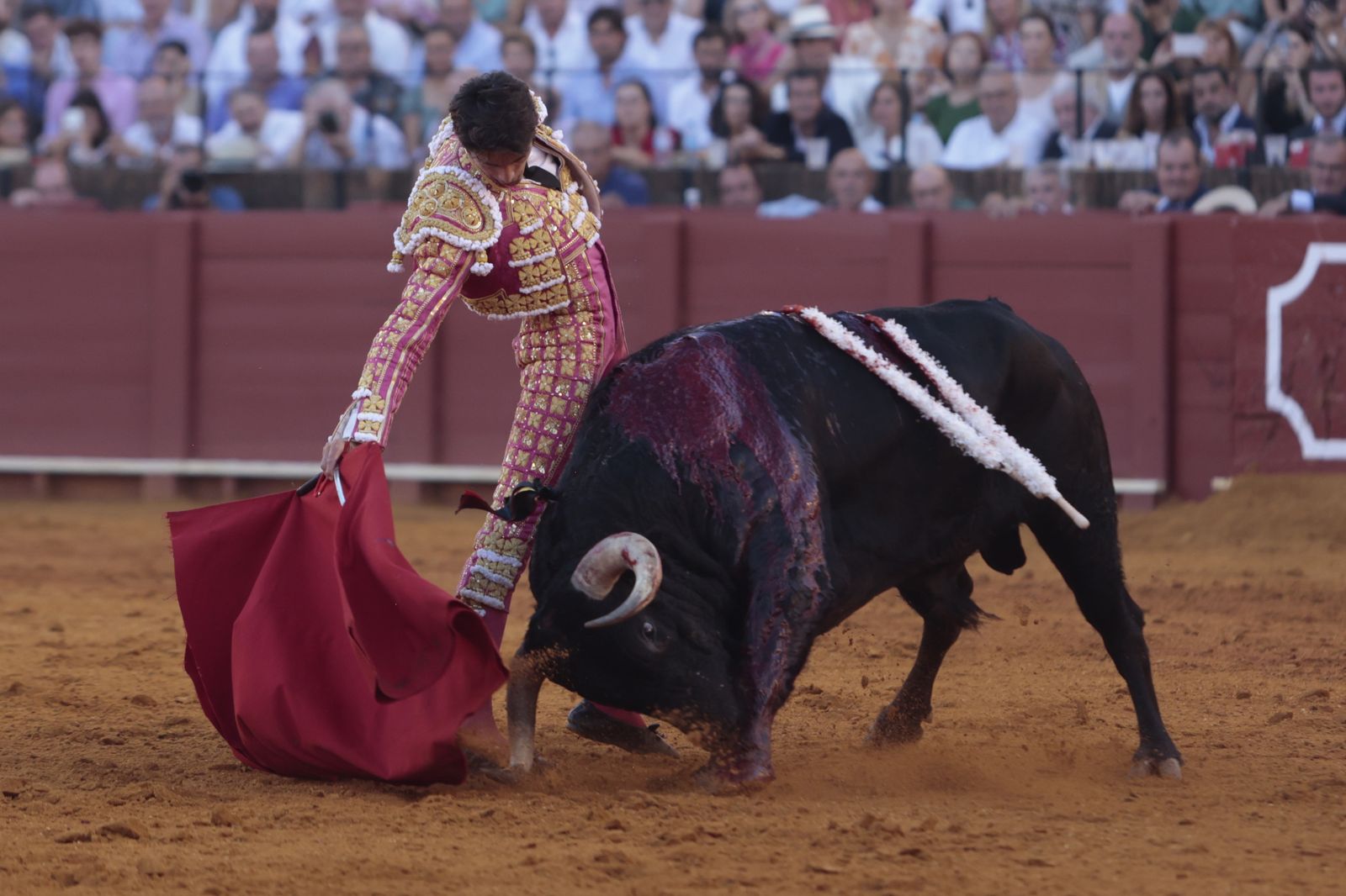 El triunfo de Castella en imágenes
