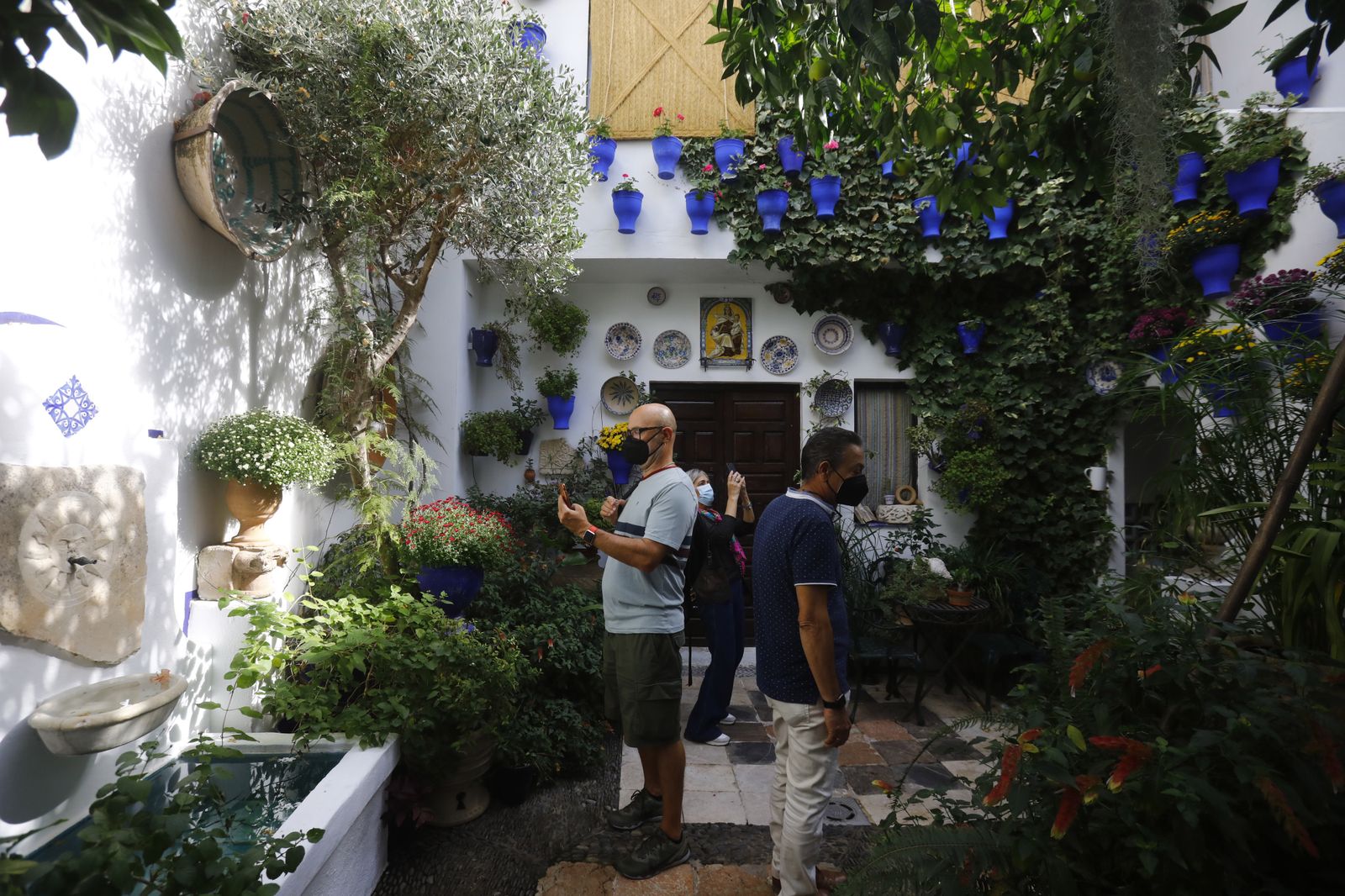 Un recorrido en fotografías por los Patios de Córdoba un domingo de otoño