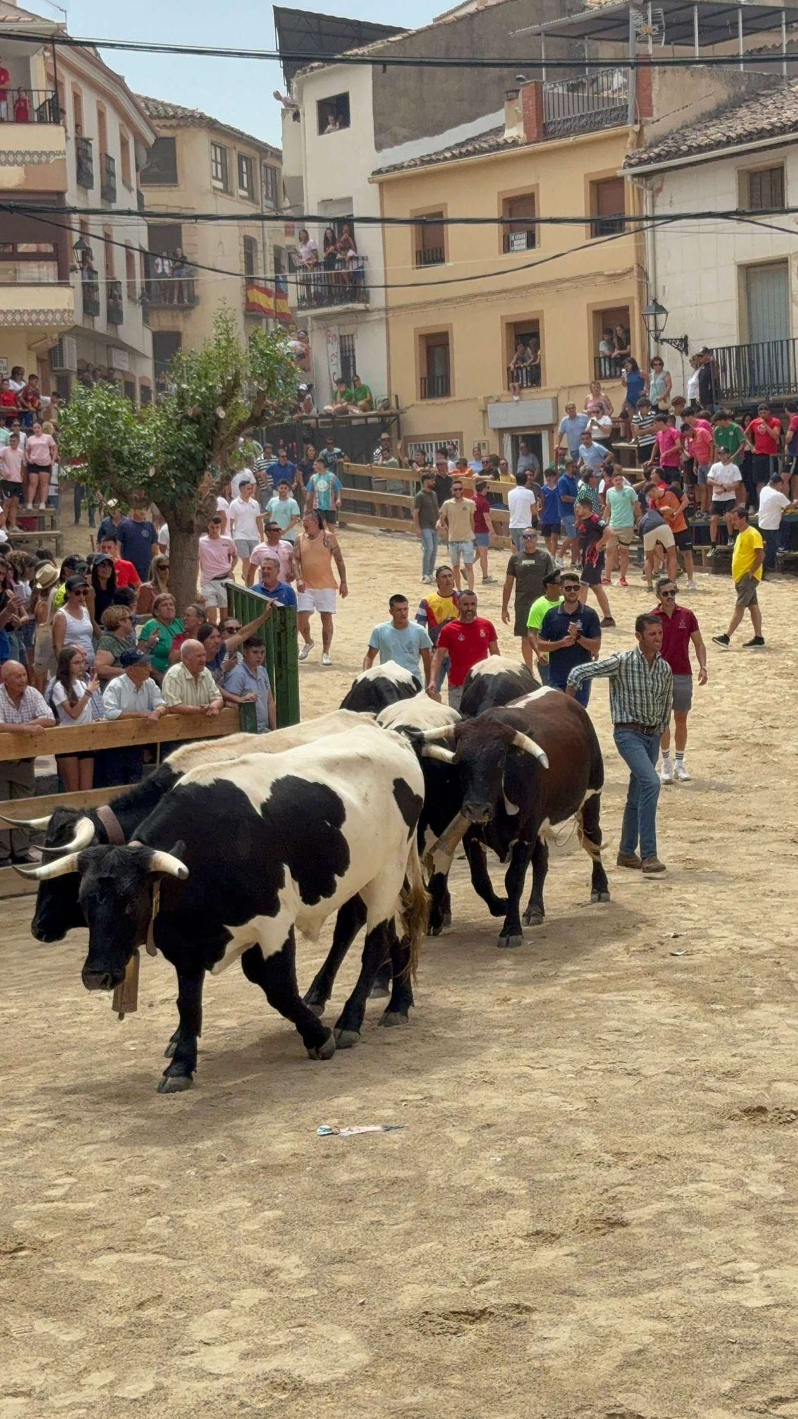 Saltos y fintas de vértigo en los encierros de Santiago de la Espada, en imágenes