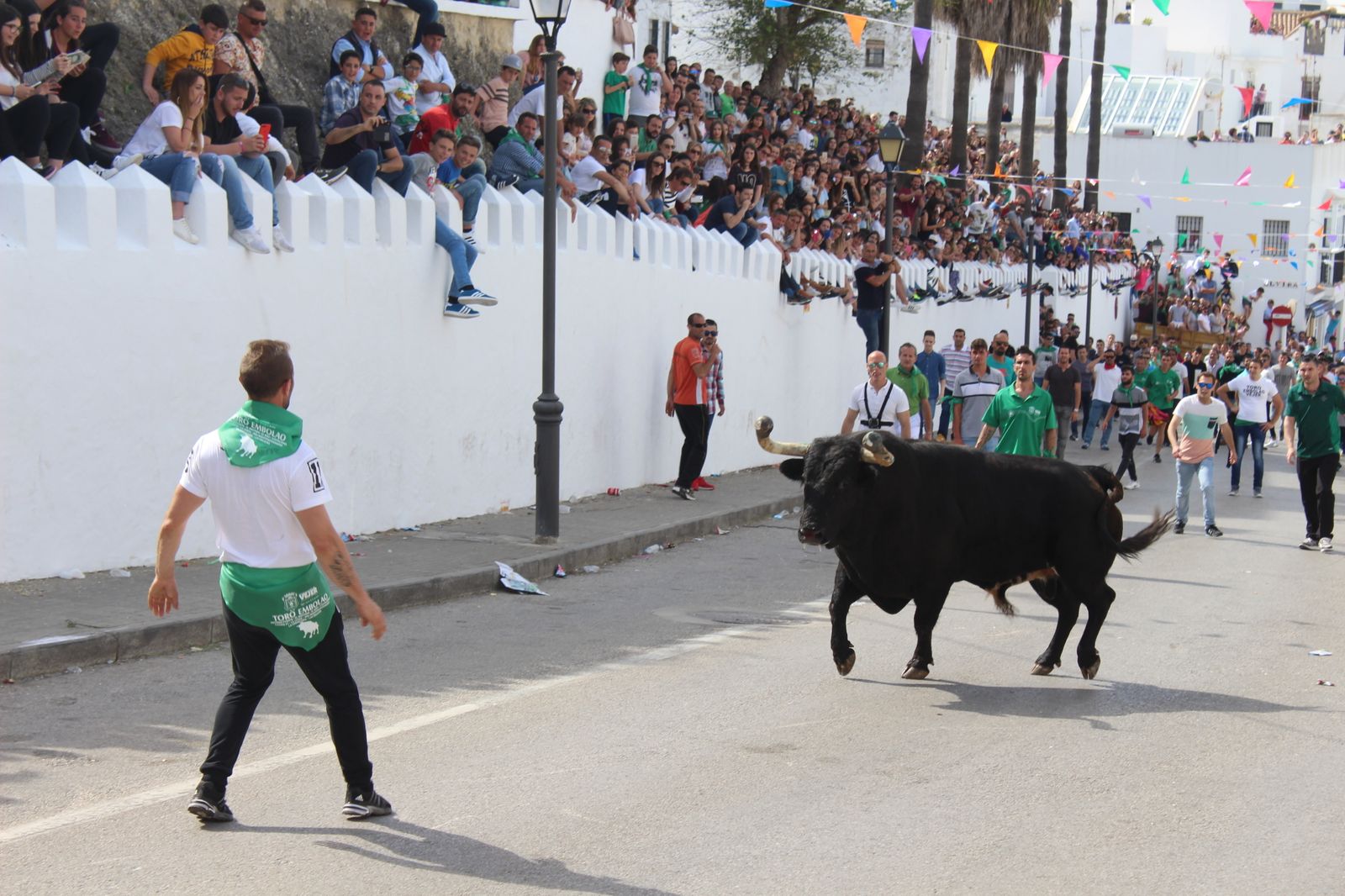 Toro Embolao en Vejer