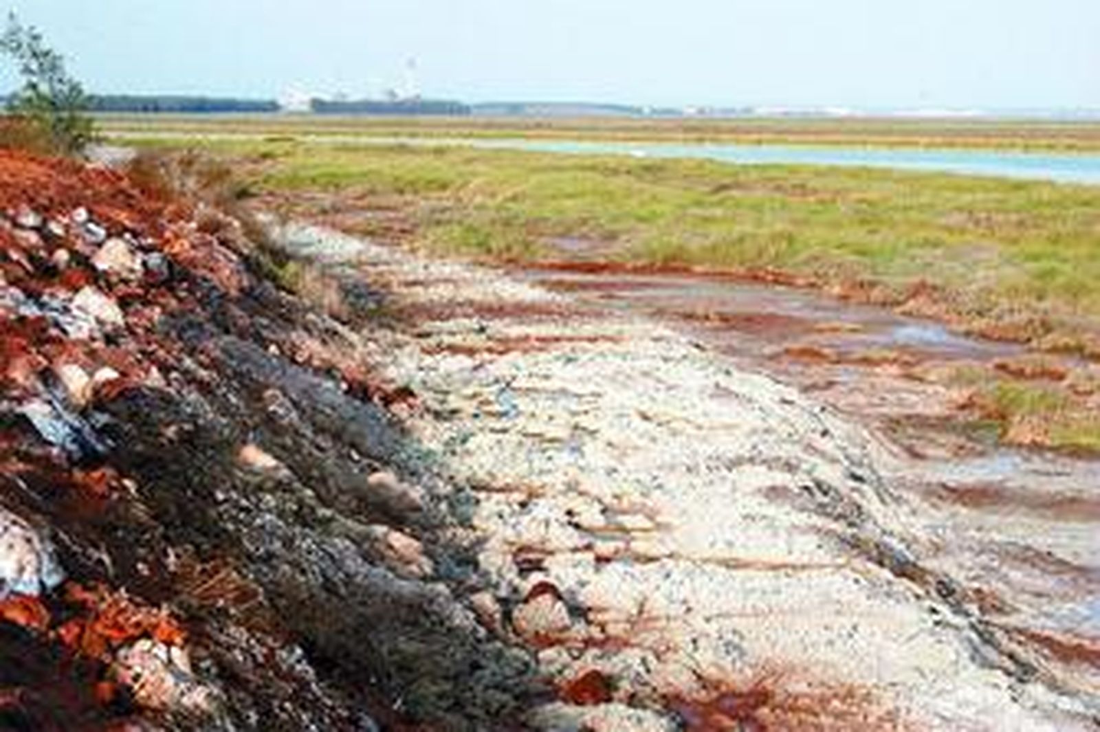 Vista de las Marismas de Mendaña, donde se depositaron los residuos, con el Polo Químico de Huelva al fondo.