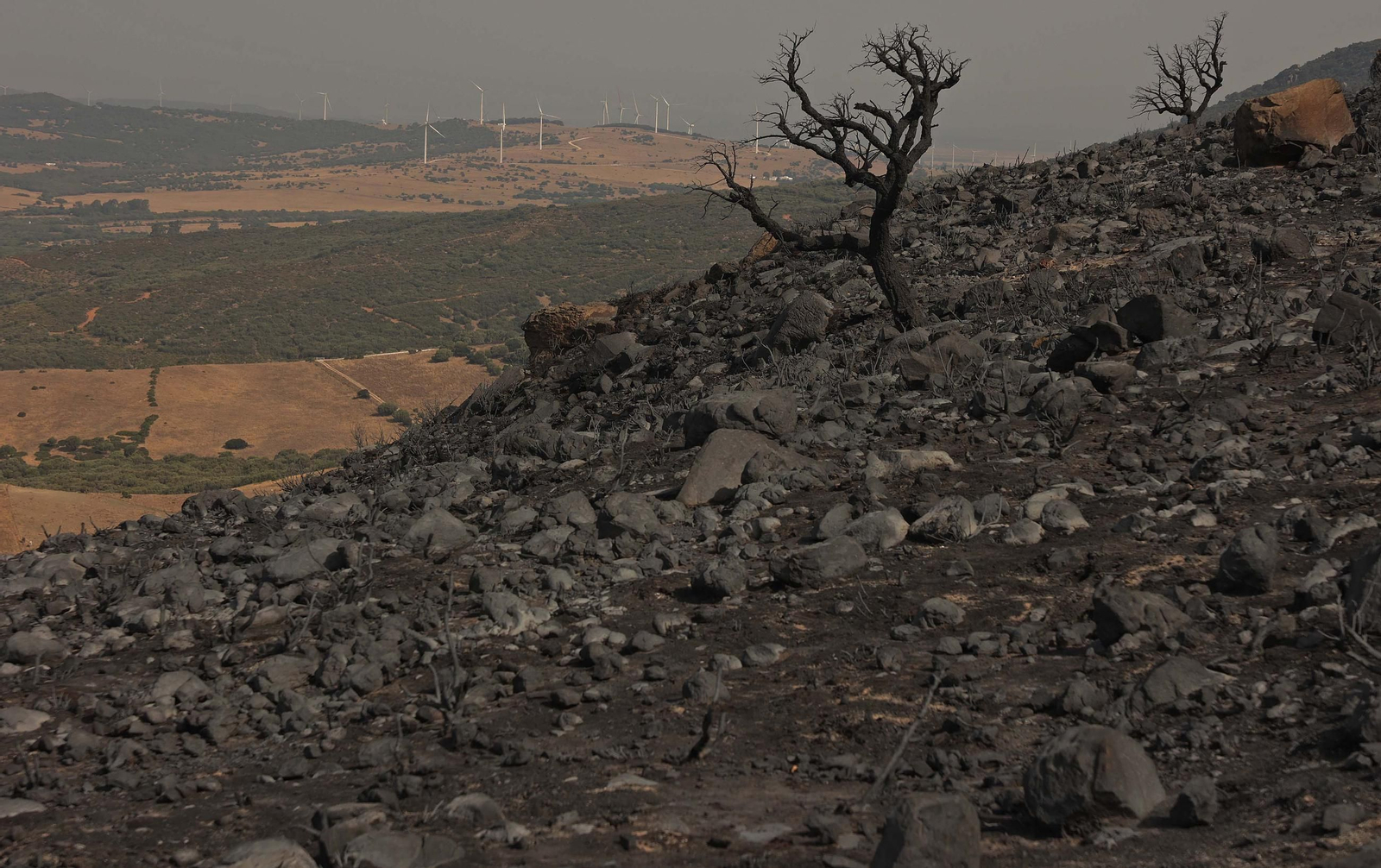 Fotos de los efectos del incendio en el monte de La Peña en Tarifa