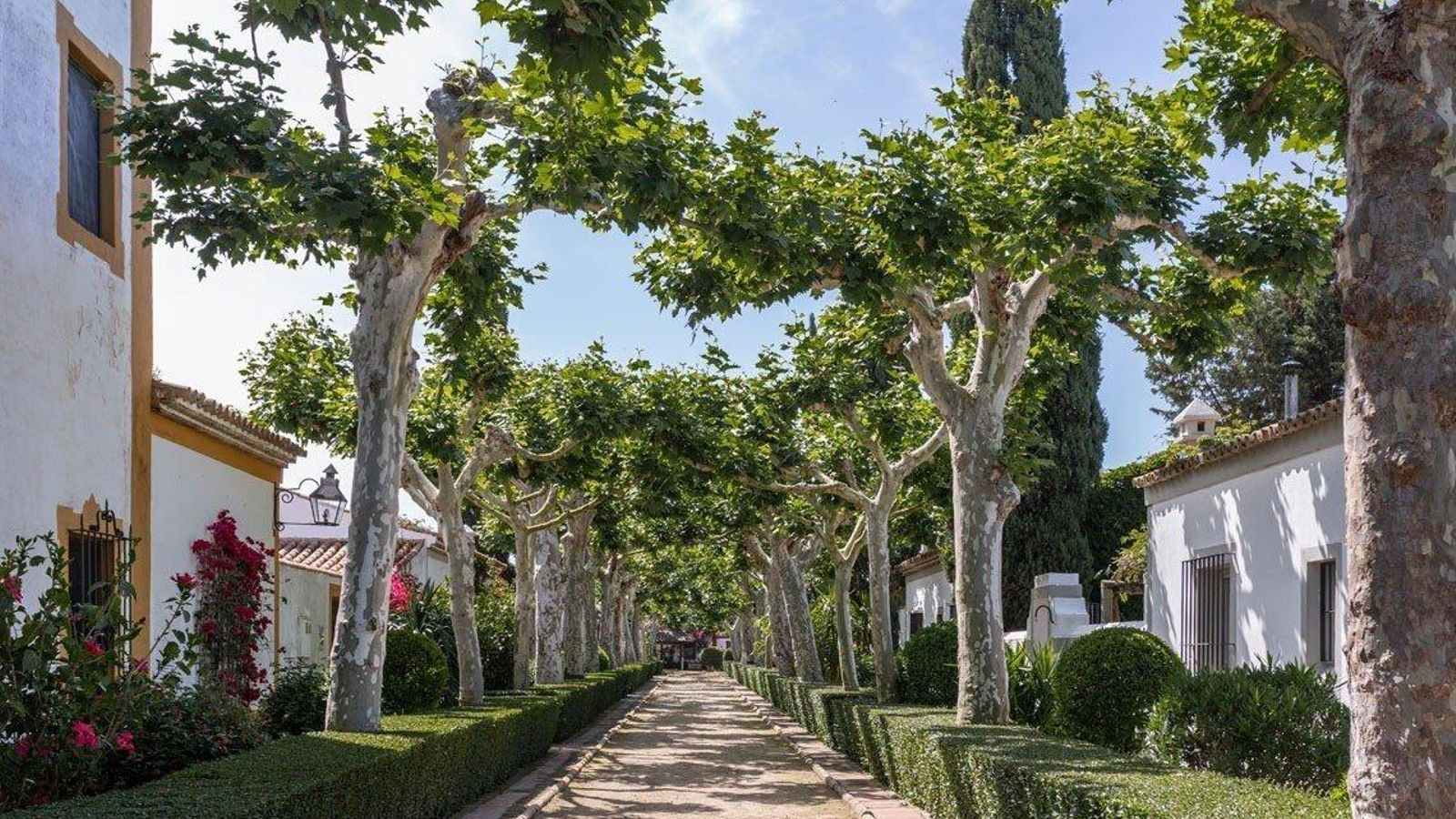 El Cortijo Los Mimbrales