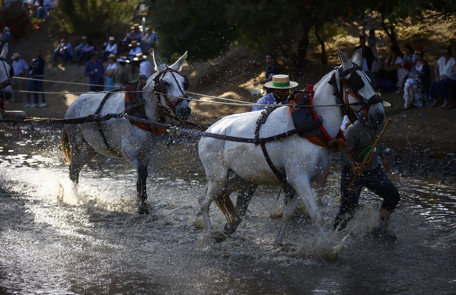 El paso de Triana y Sevilla por el Vado del Quema, en imágenes