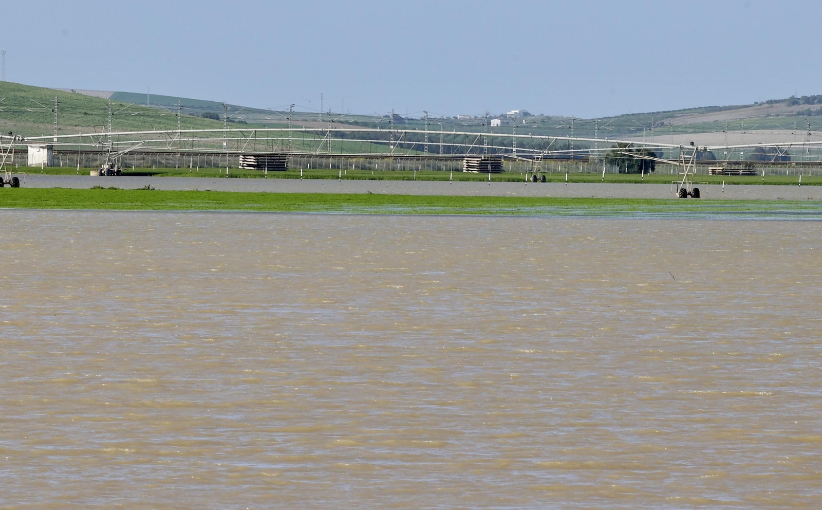 El campo en Lebrija inundado tras las lluvias