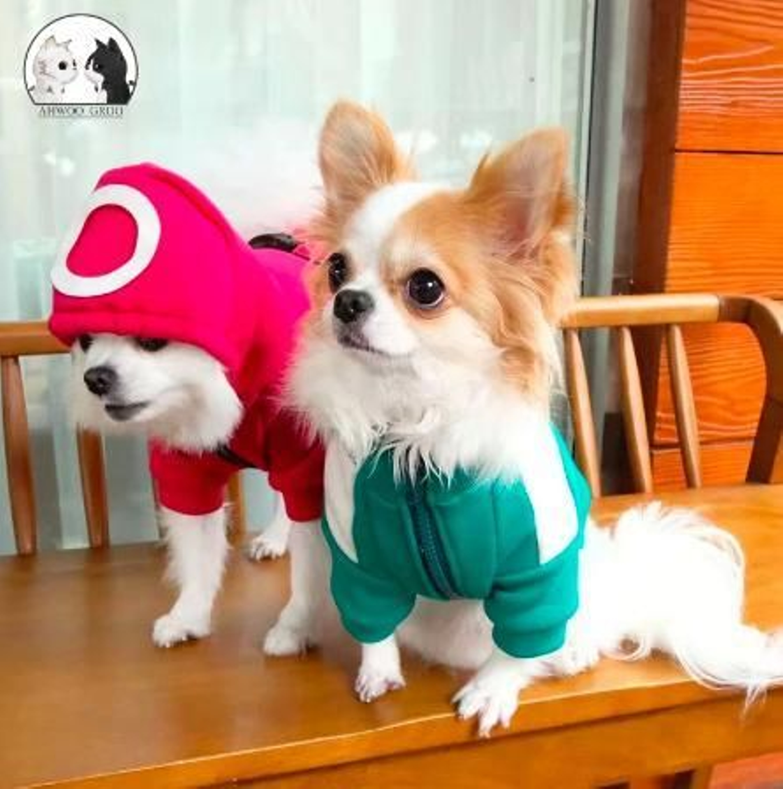 Disfraz de Aliexpress