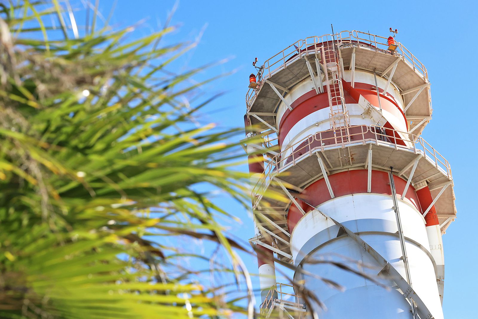 Imágenes del acto del 20 aniversario de Naturgy en Palos de la Frontera