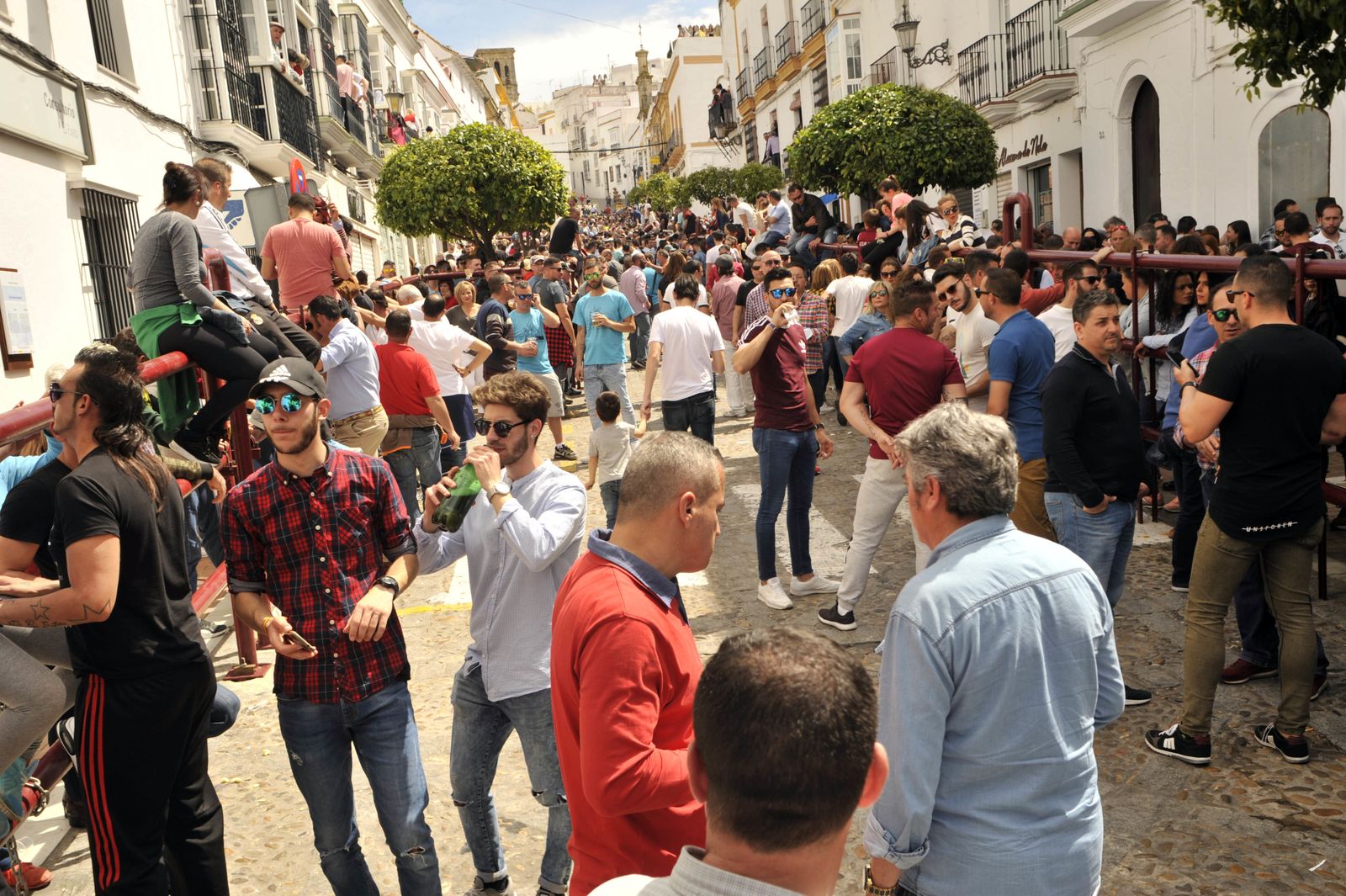 Imágenes del Toro del Aleluya en Arcos