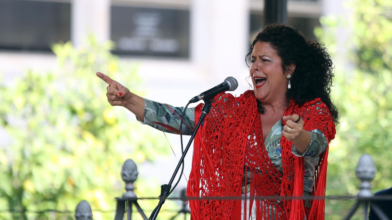 Imágenes del Día del Flamenco 2024 en Jerez
