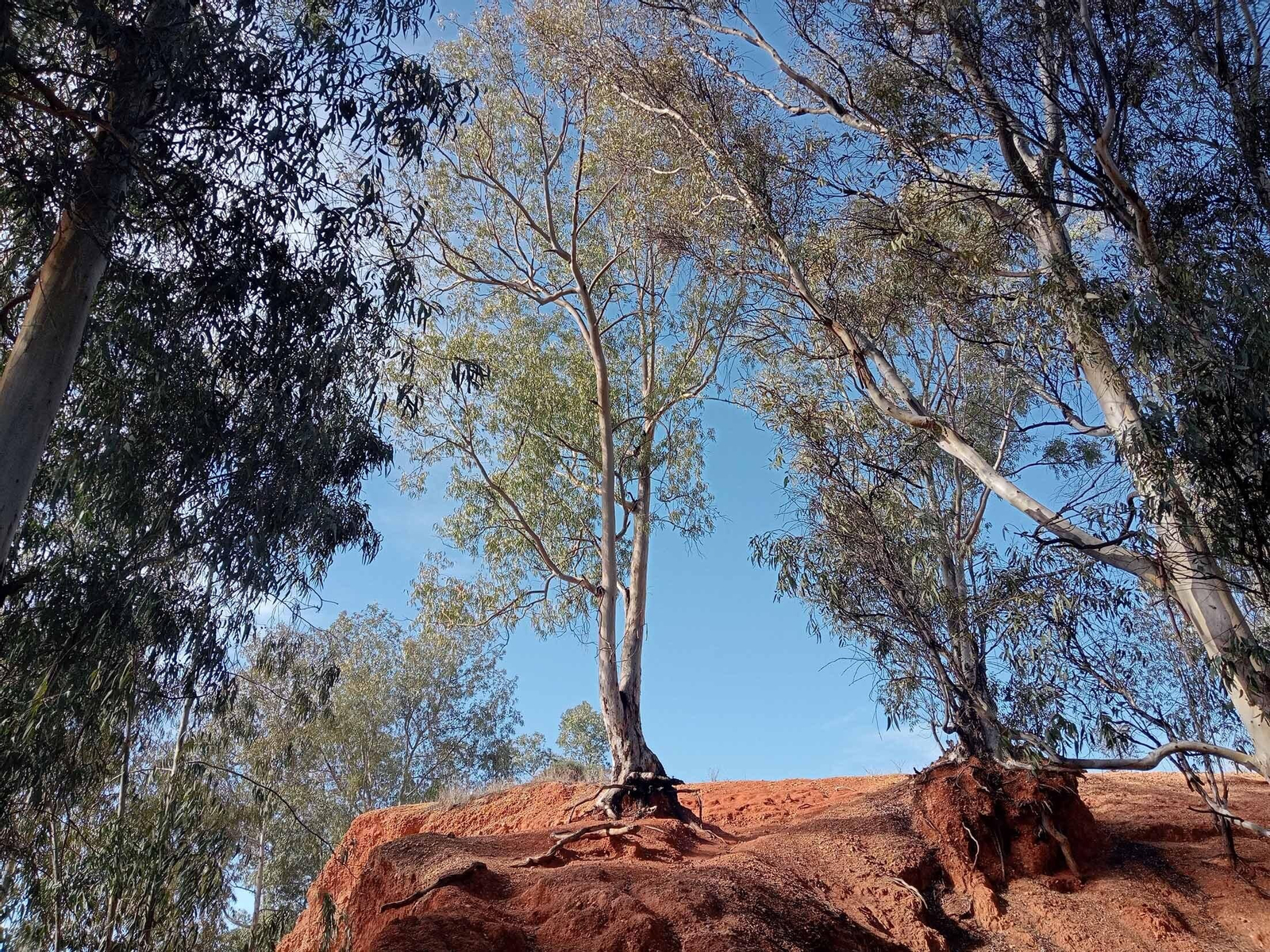 Barrio a Barrio: Imágenes de San Antonio
