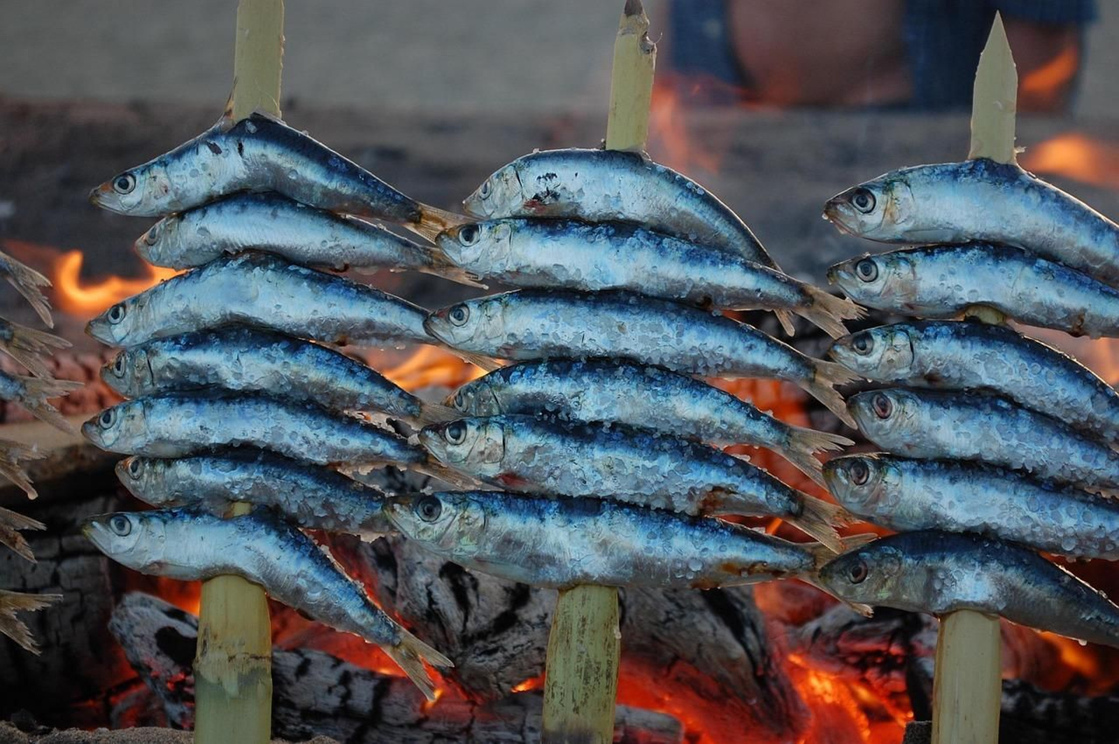 Espetos de sardinas.