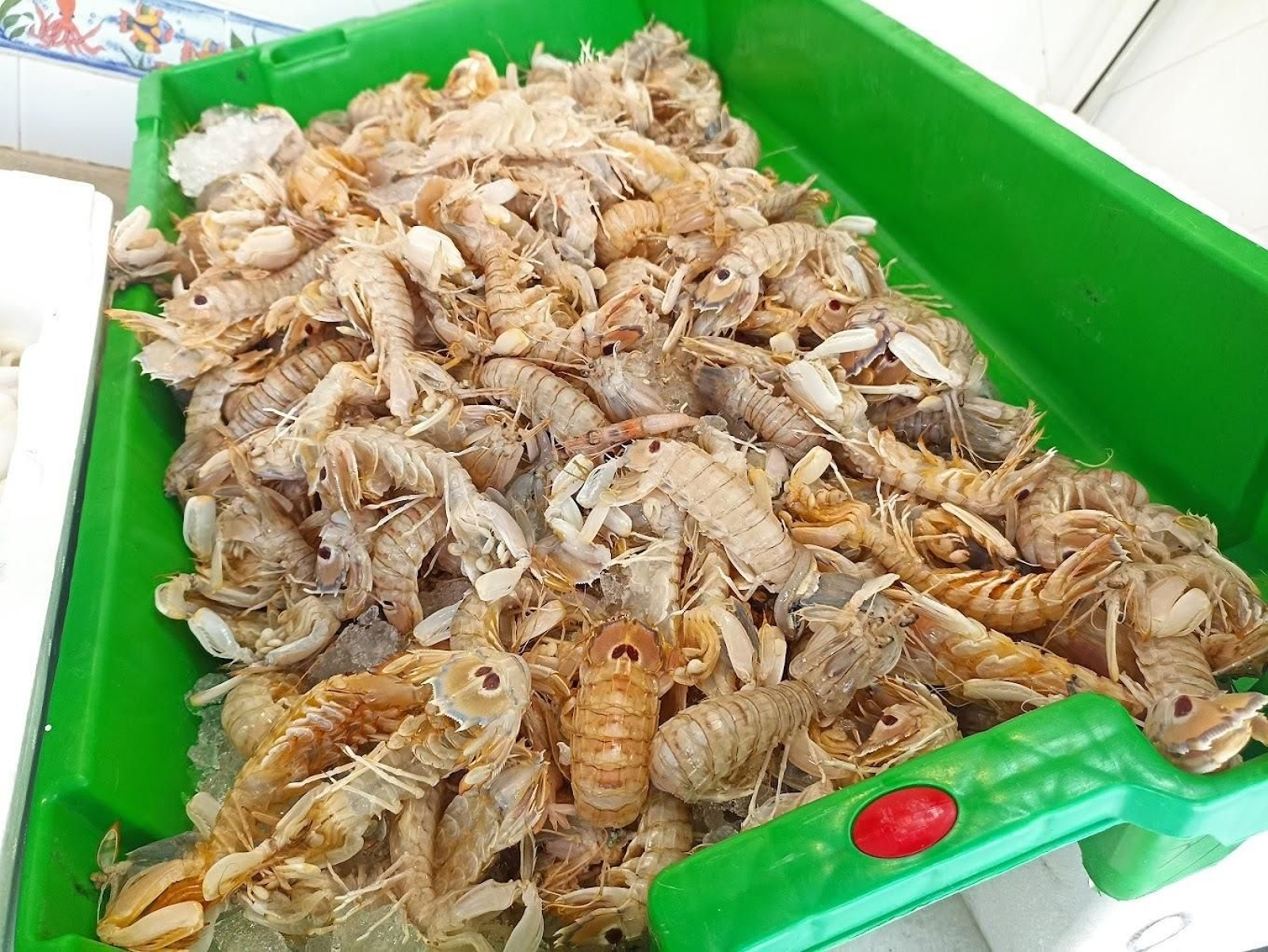 Mercado Municipal de Abastos de Chipiona, desde 1957