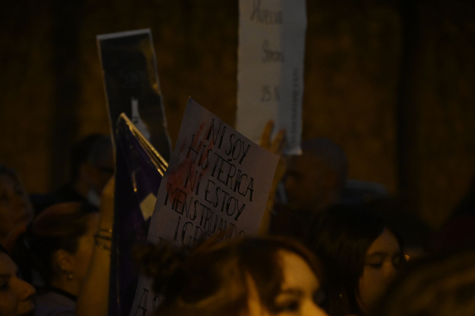 Manifestación del 25N en Imágenes.