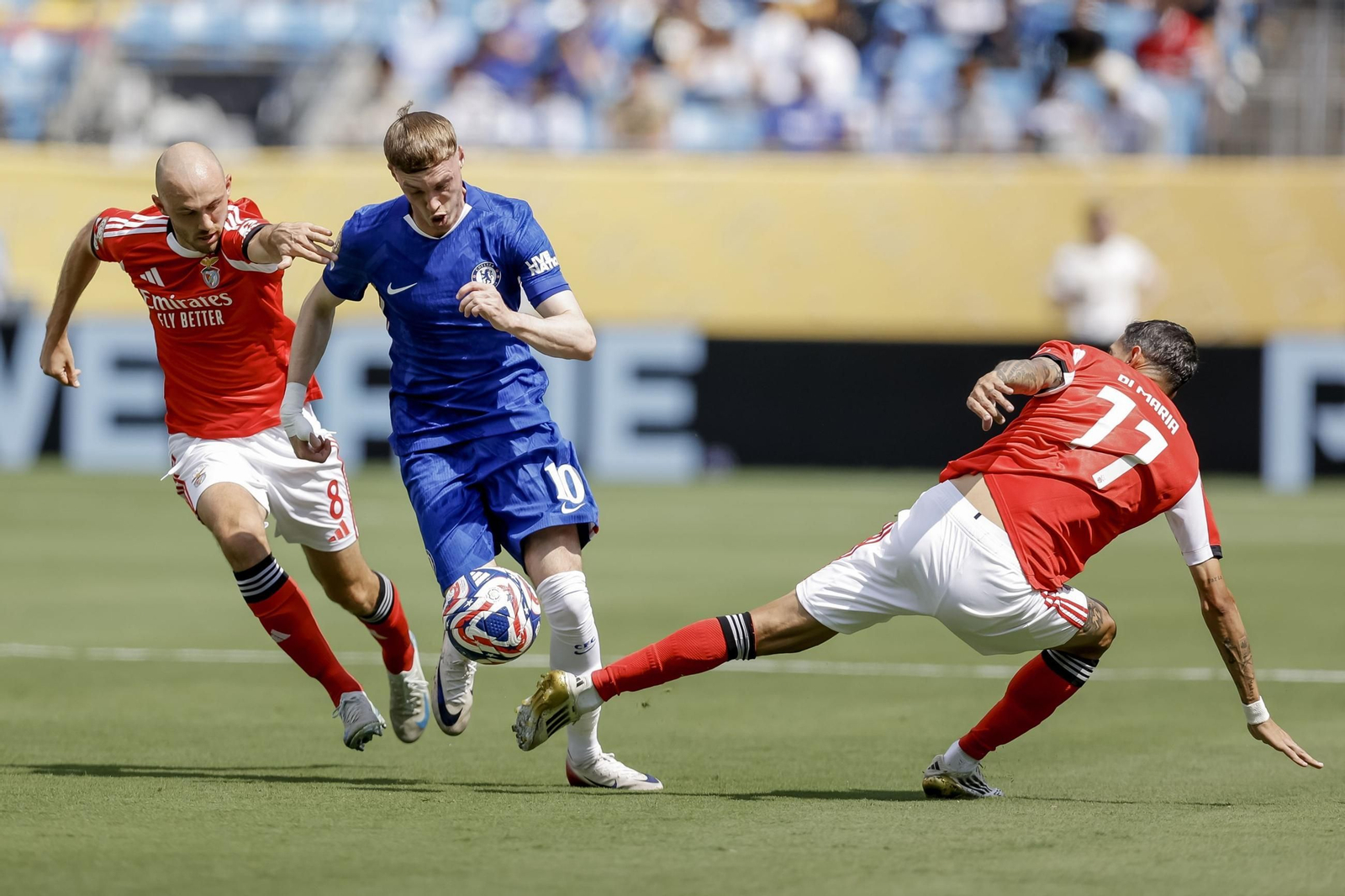 Benfica-Chelsea (45).jpg