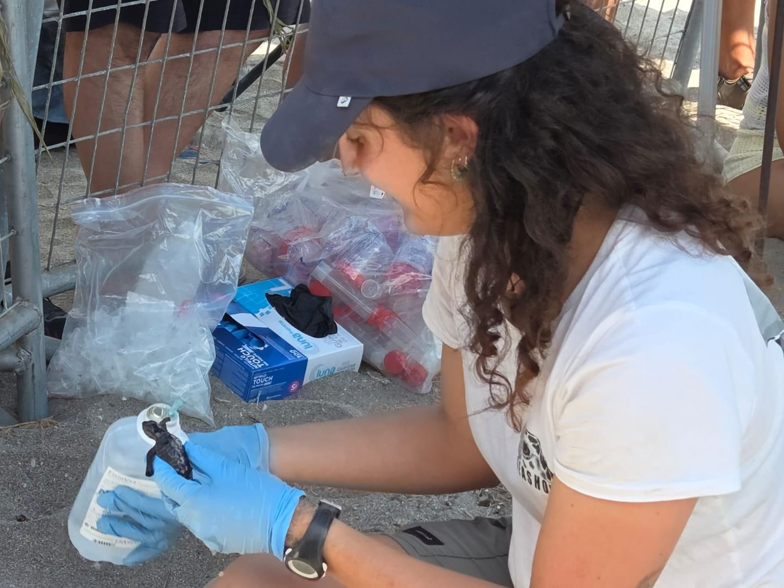 Voluntaria cogiendo una tortuga.