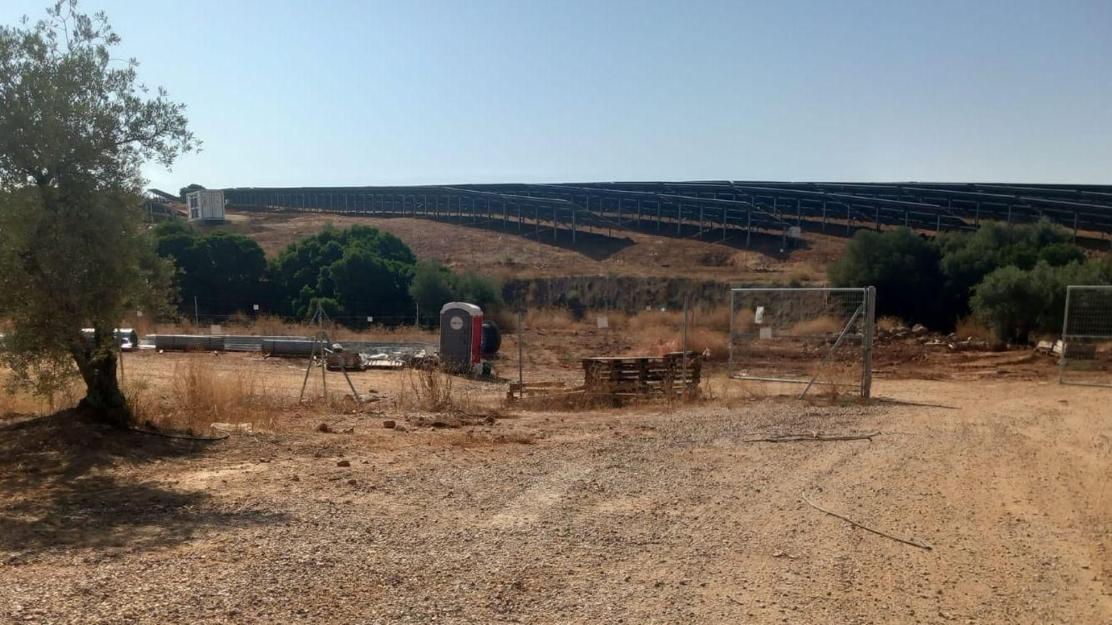 Megaplanta solar levantada junto a la carretera de La Parrilla.