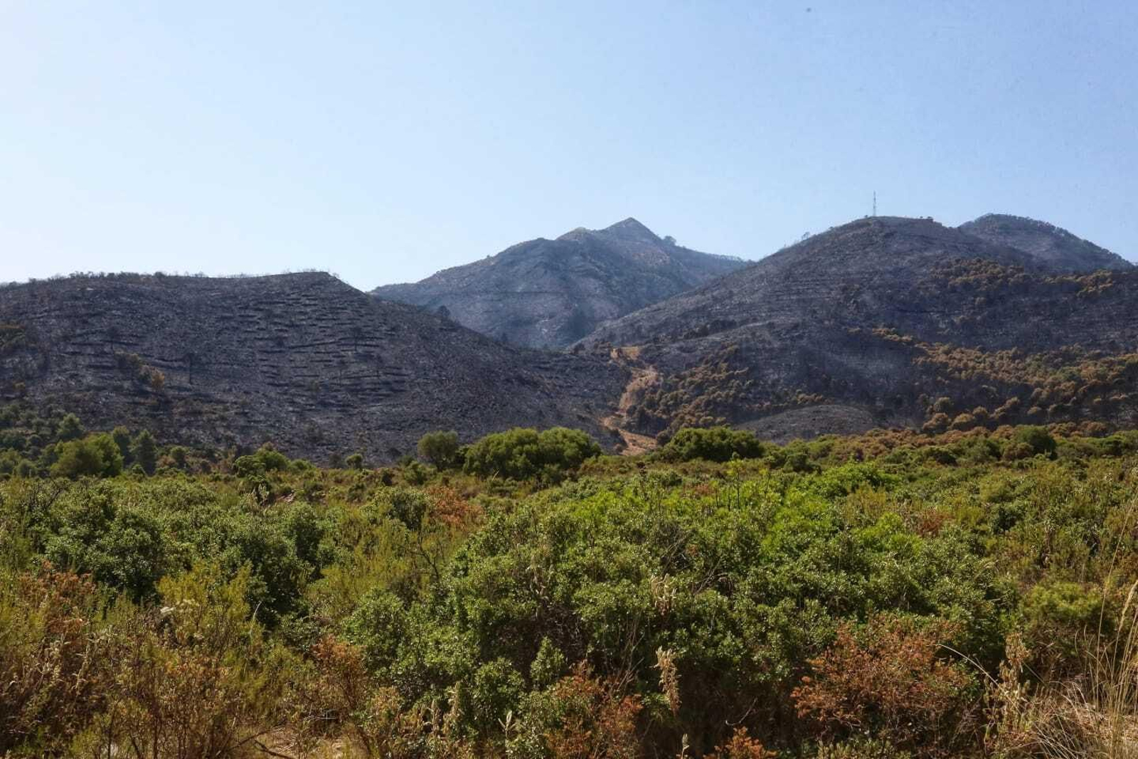Las fotos de las zonas arrasadas por el incendio en la Sierra de Mijas