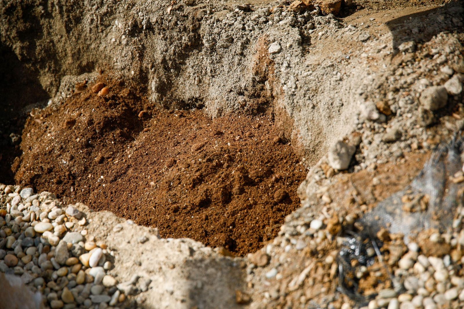 Las imágenes de la plantación de un olivo y el entierro de una cápsula del tiempo