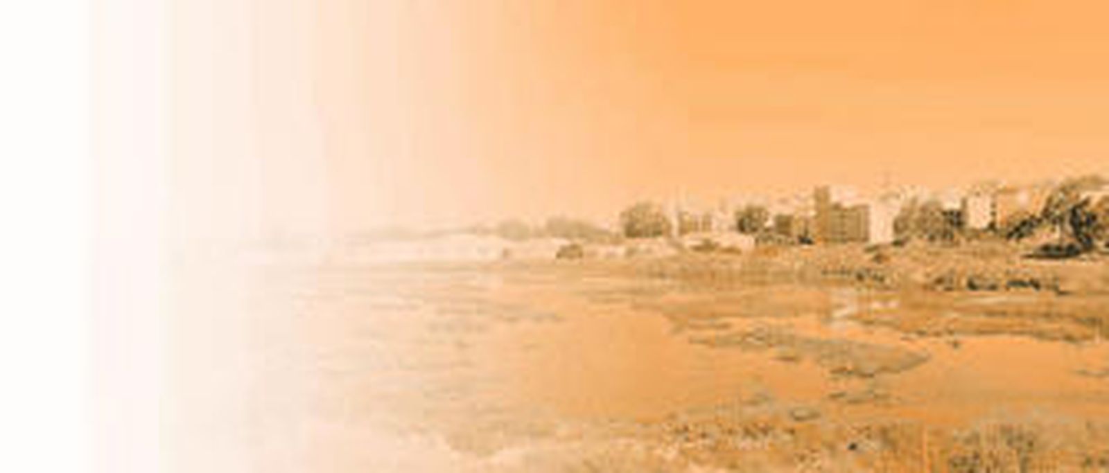 La arboleda de la entrada del cementerio ha desaparecido.