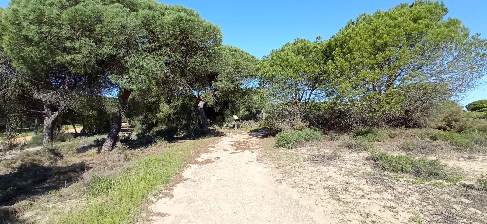 Las imágenes de la ruta de las salinas del Astur y los pinares de Punta Umbría