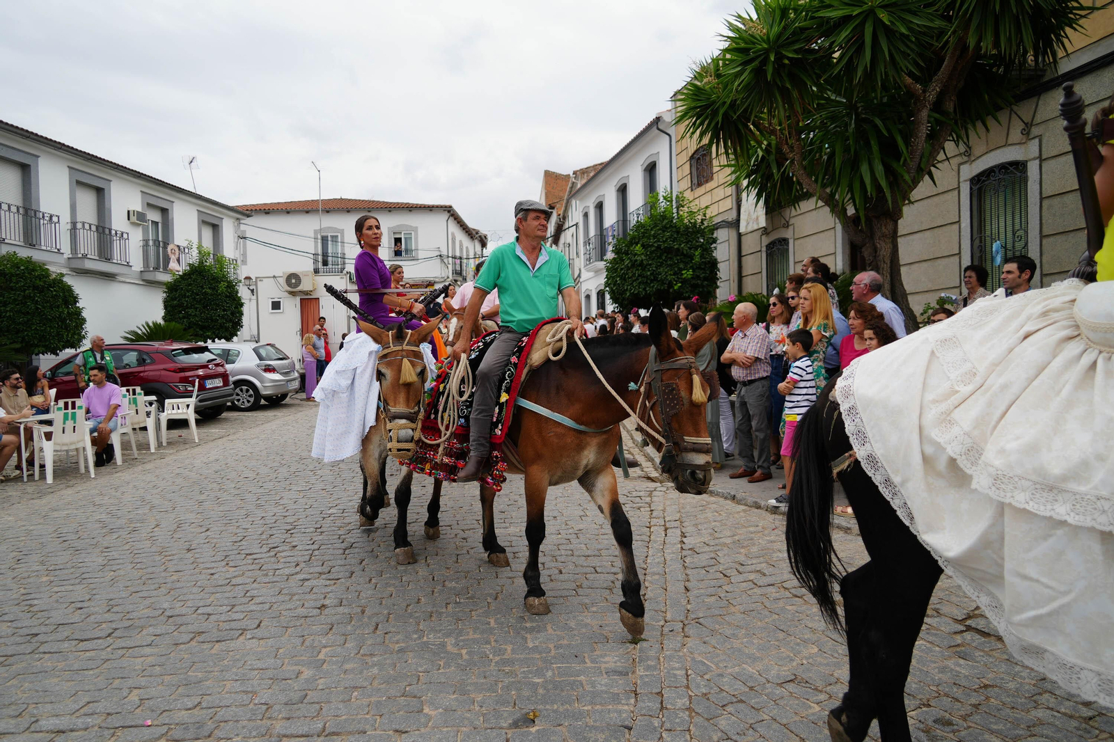 Las mejores imágenes de la Fiesta de los Piostros de Pedroche, la mayor concentración equina de Andalucía