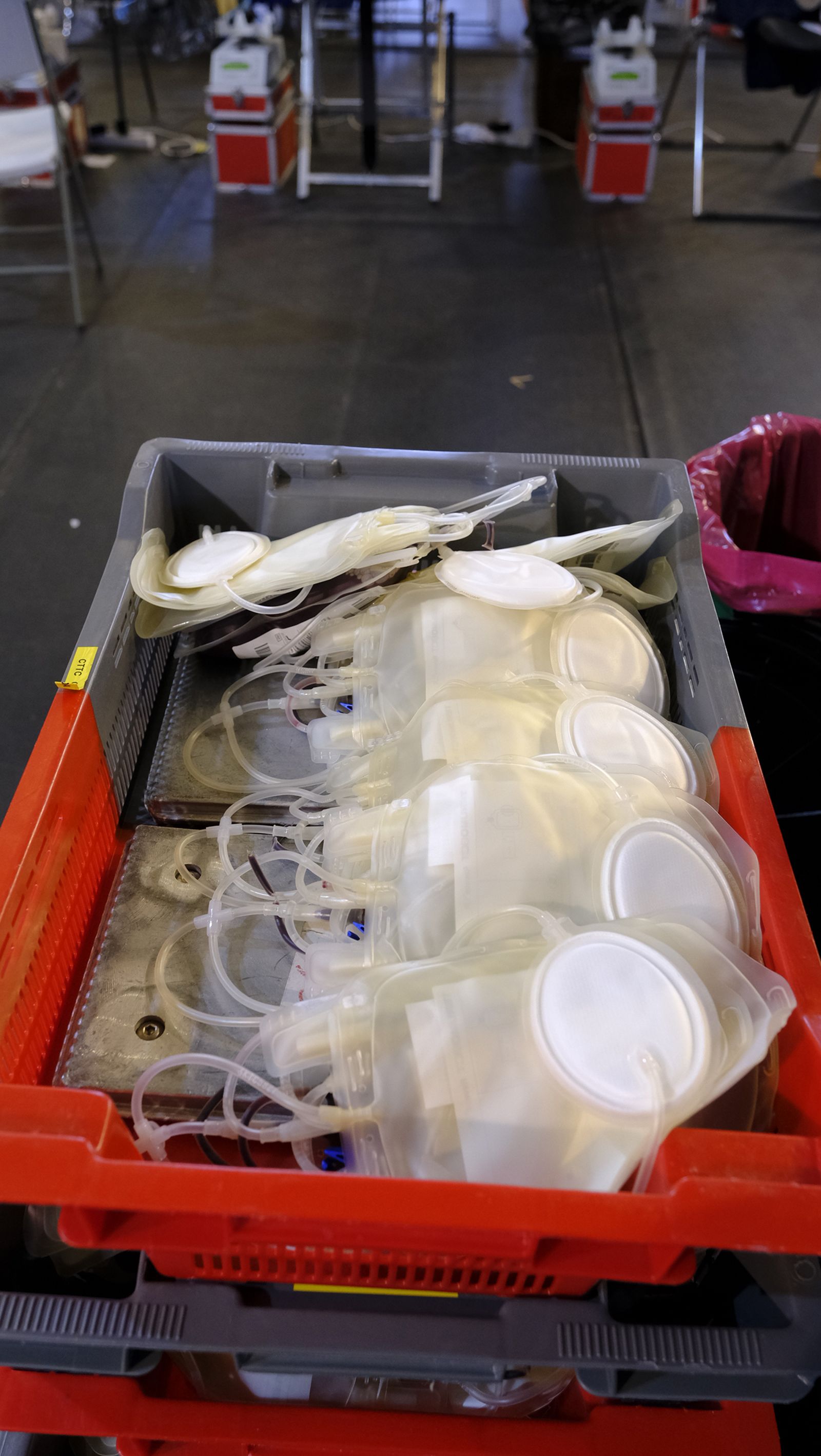 Imágenes de la donación colectiva de sangre y plasma en el Pabellón Rafael Florido