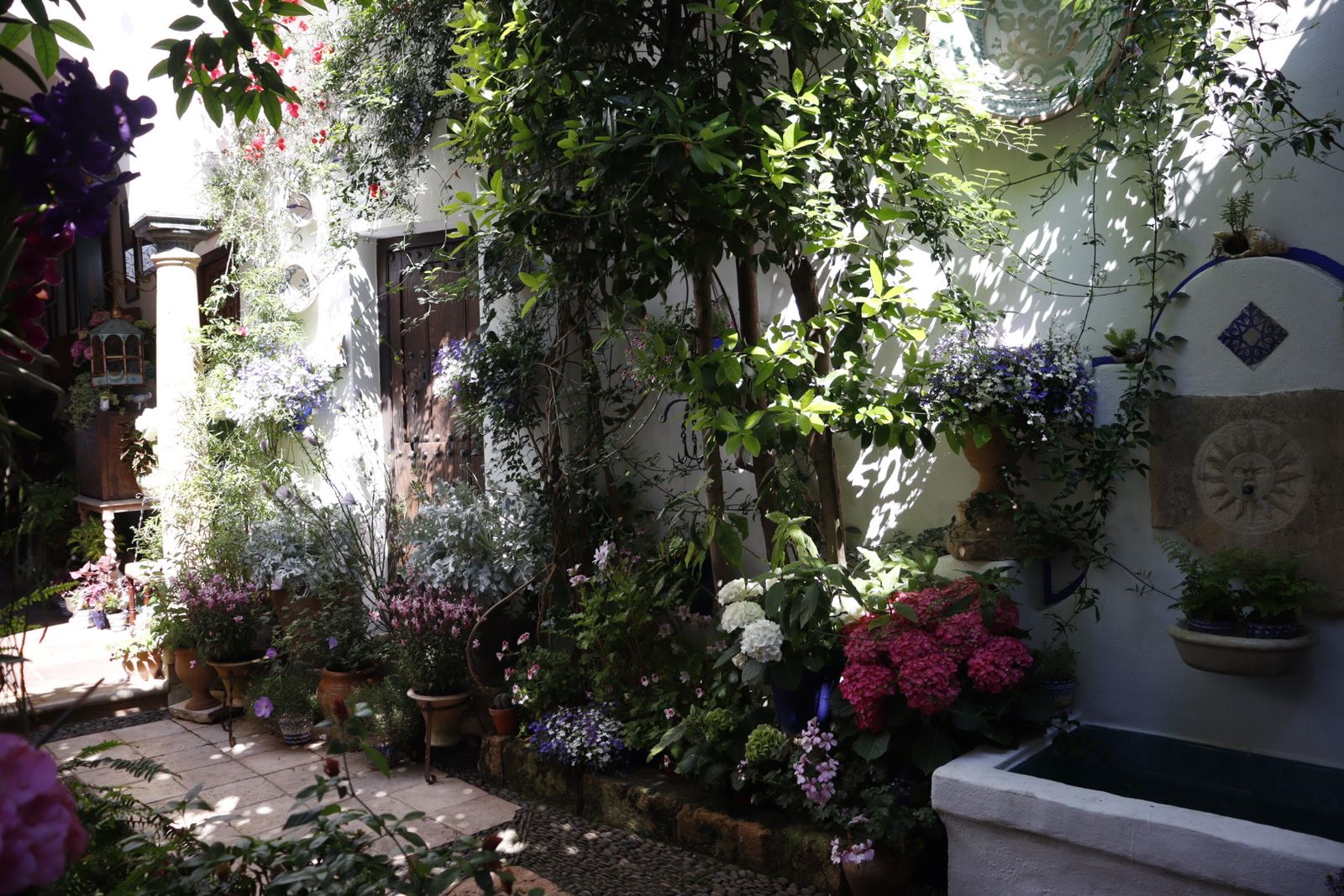 Ruta de los patios de San Lorenzo