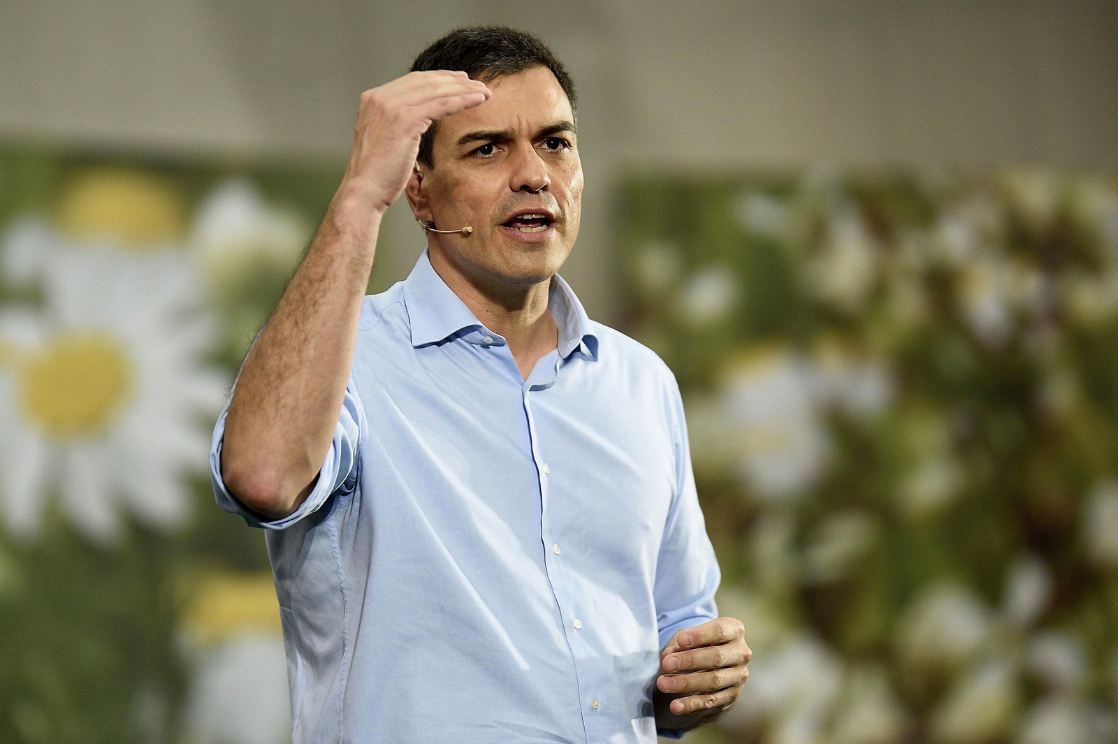 Pedro Sánchez.