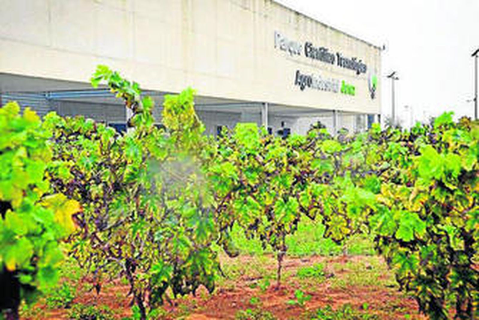 Imagen reciente del Parque Científico Tecnológico Agroindustrial.