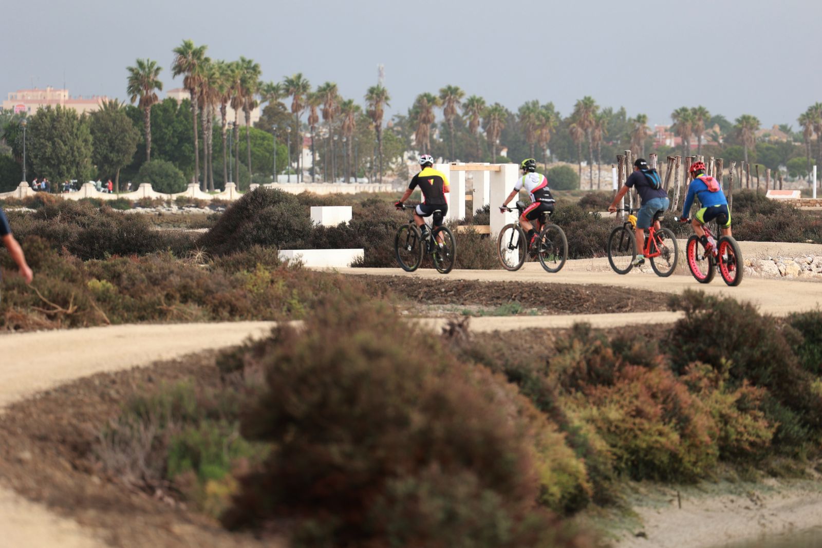 Cclistas en la ruta cicloturista que conecta San Fernando y Chiclana por Parque Natural.