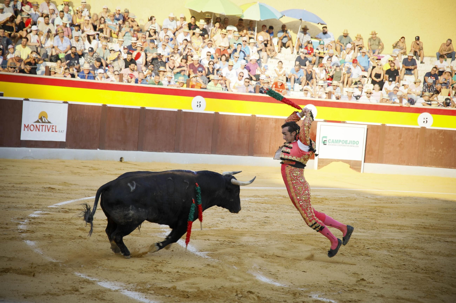 Corrida de toros Berja con un toro indultado, en imágenes