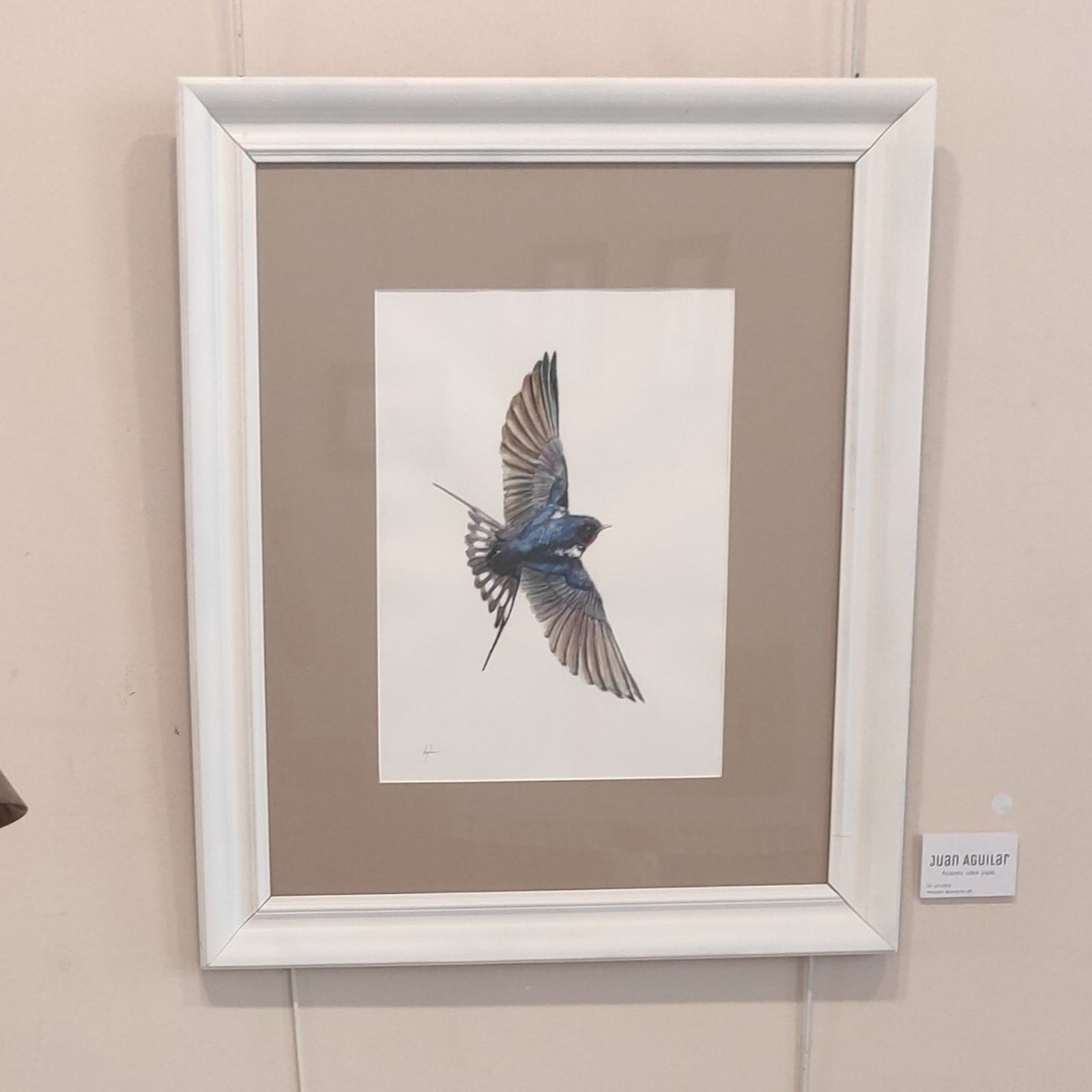 Juan Aguilar muestra sus acuarelas en Espacio Abierto hasta el día 23