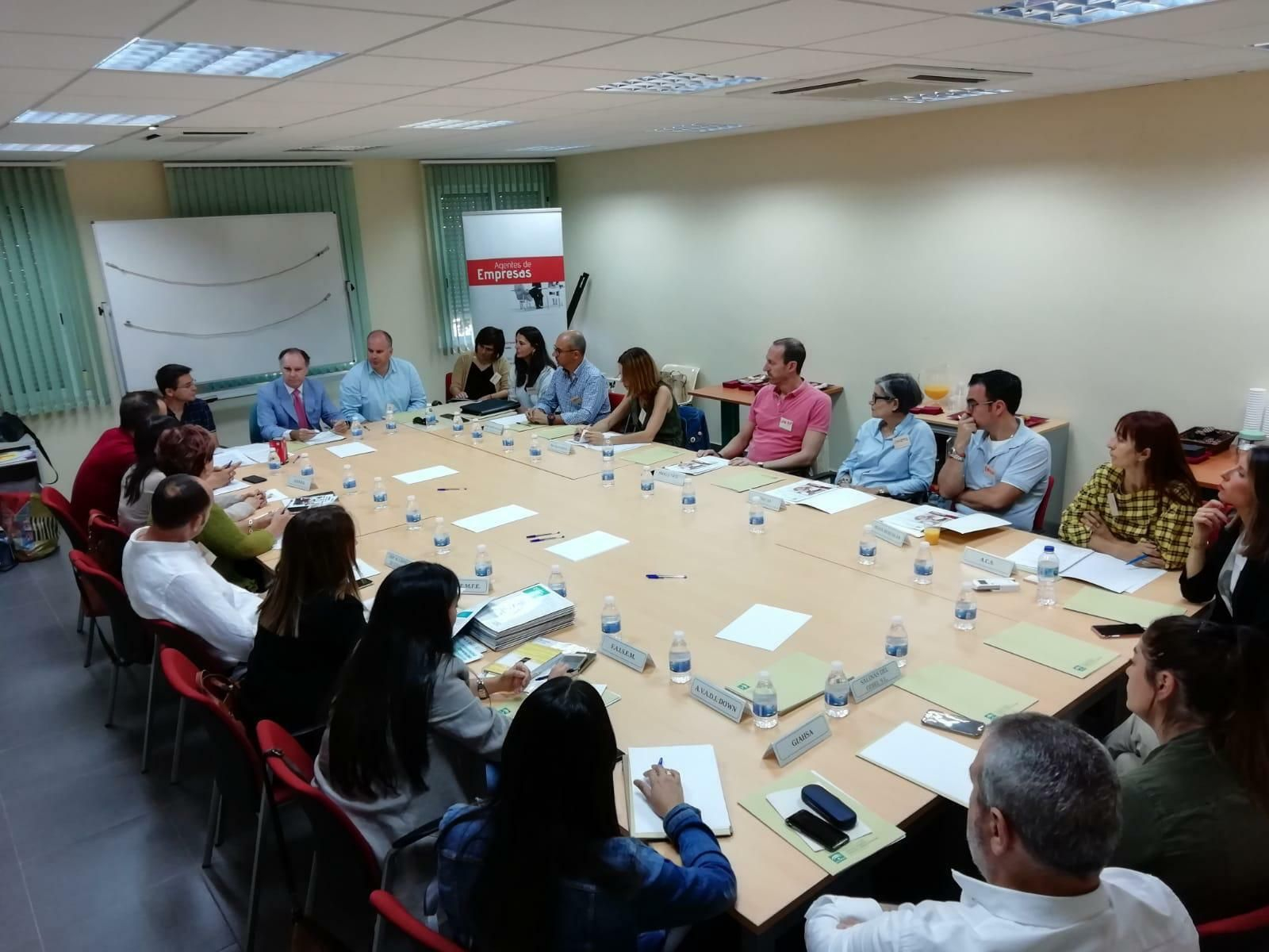 Mesa de trabajo sobre empleo y discapacidad organizada por el Servicio Andaluz de Empleo (SAE).