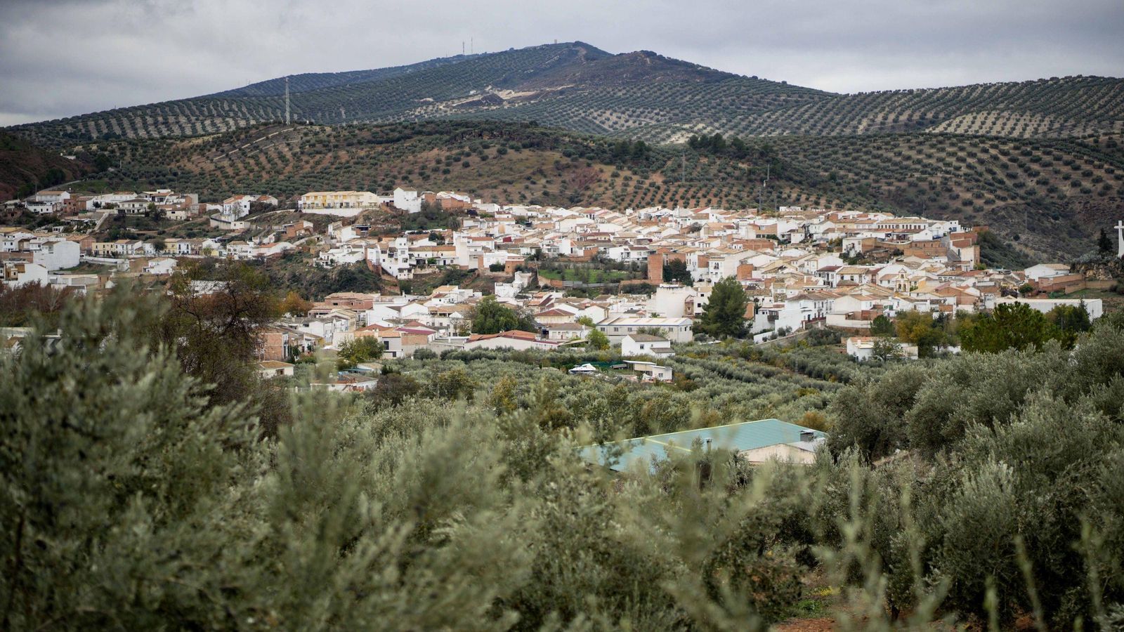 Vista general de Albendín.
