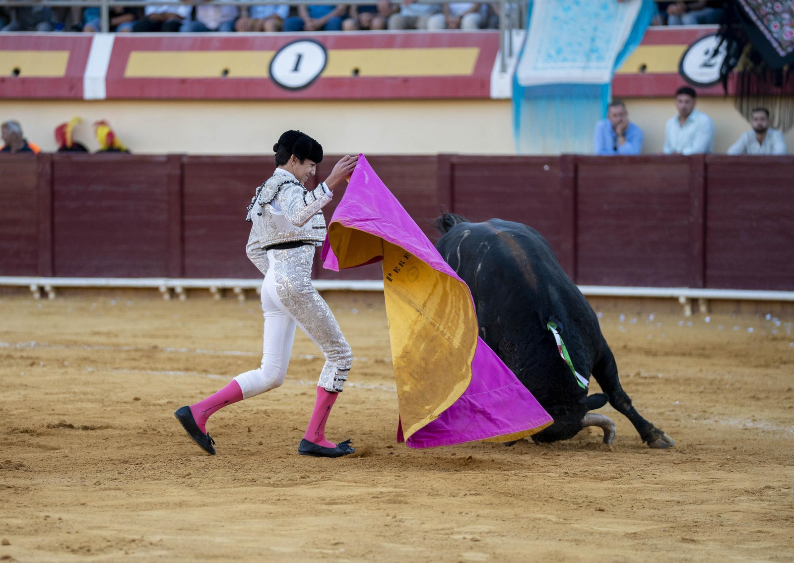 Las imágenes de los toros en Vera