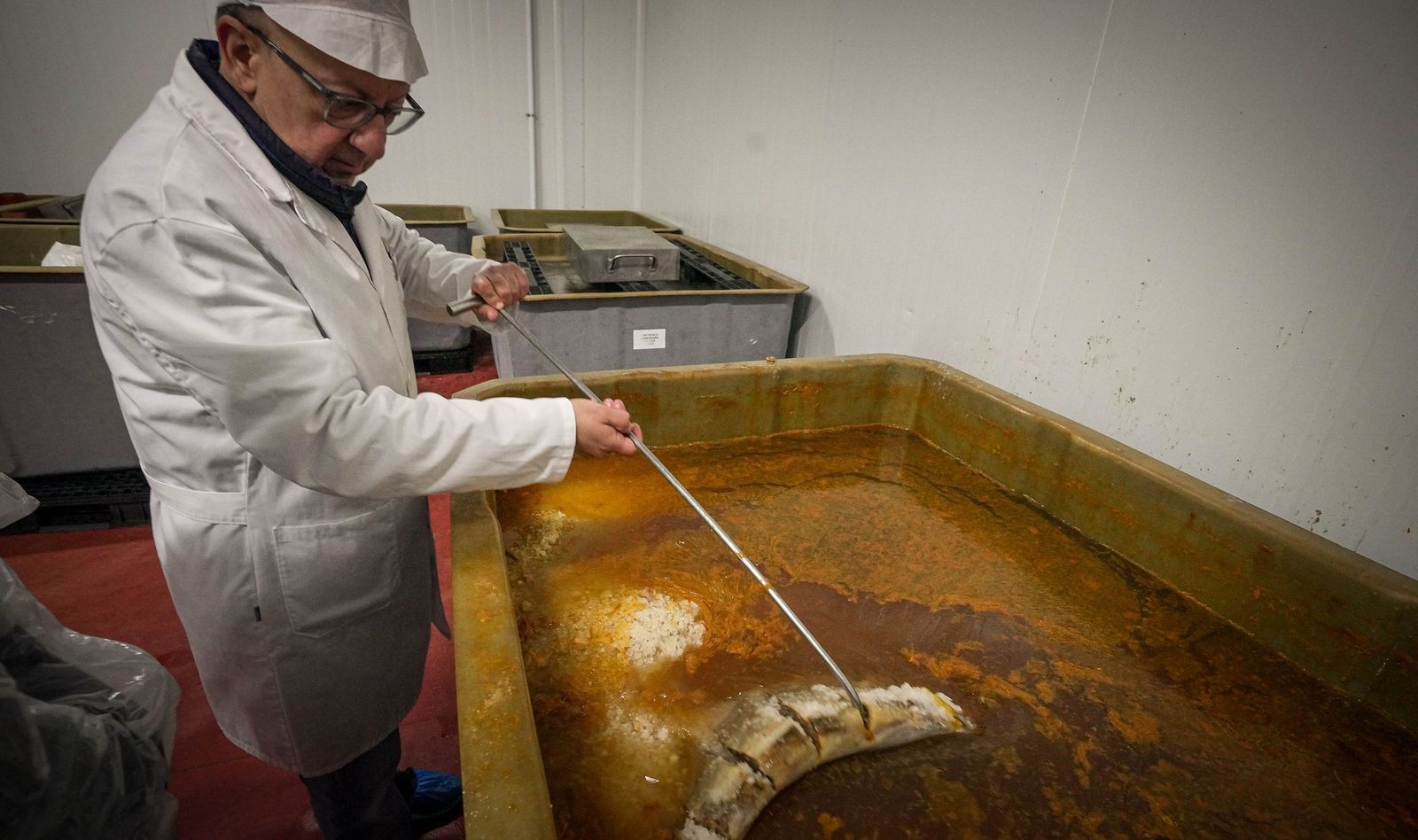 Imágenes de una tradición viva: Herpac por dentro