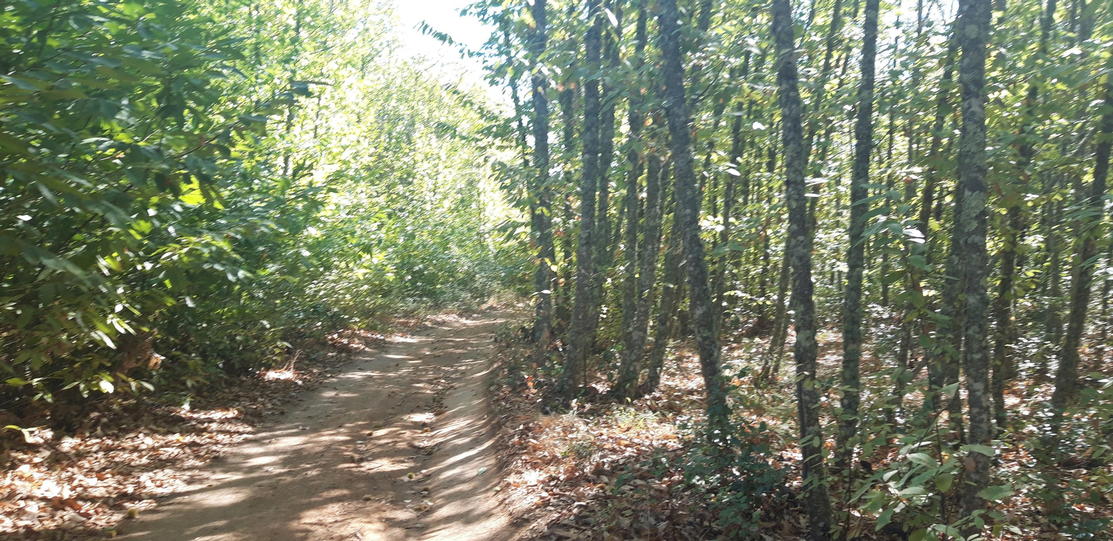 Las fotos de la Circular del Campovid