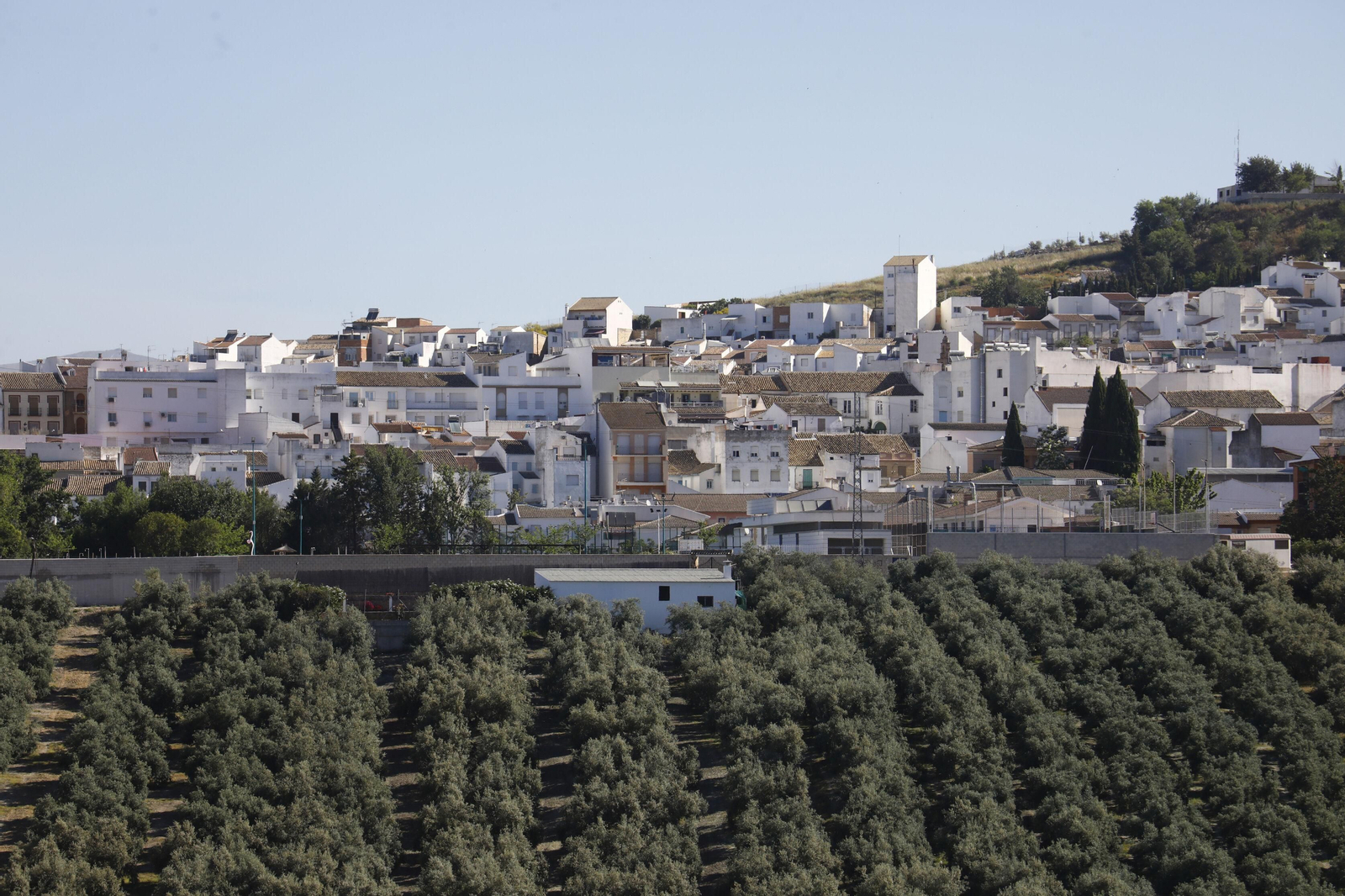 Panorámica de la localidad de Rute.