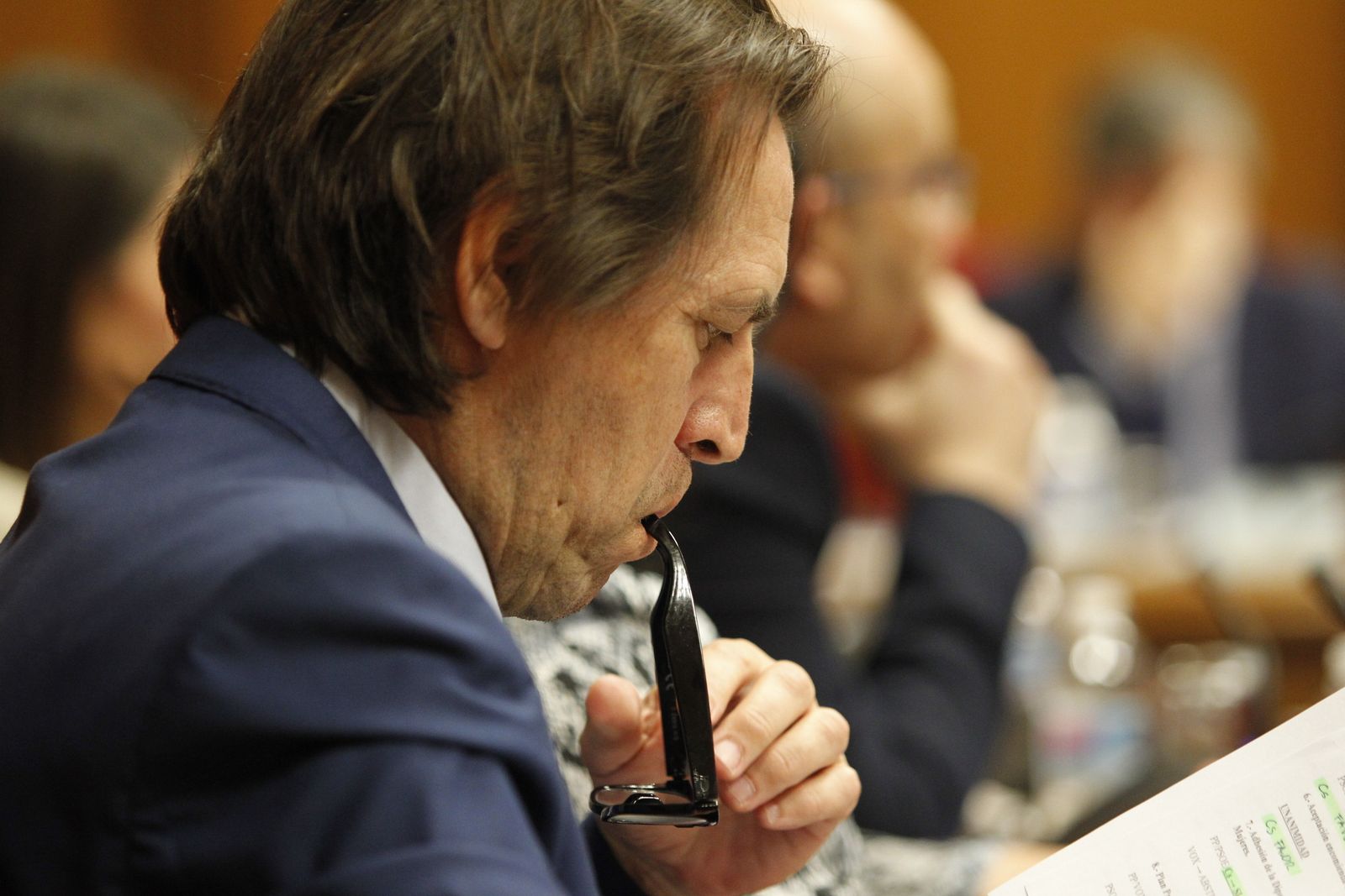 Fotogalería Pleno Ordinario Diputación de Almería