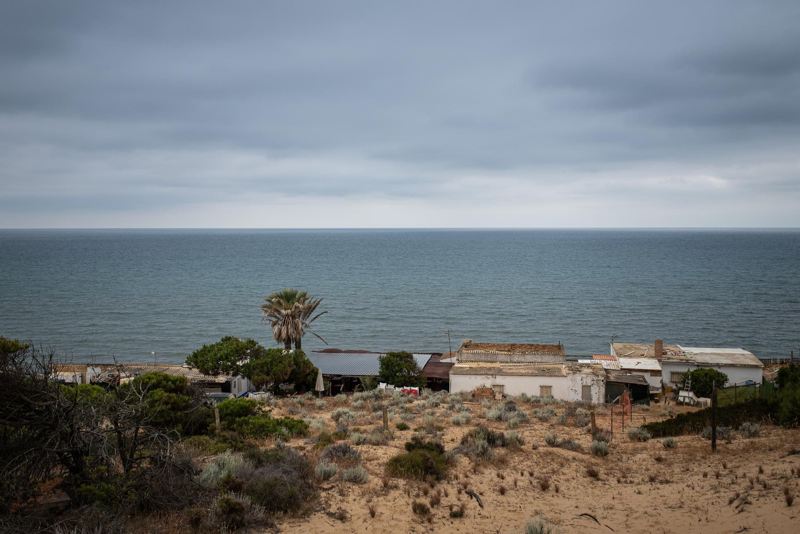 Un paseo a caballo por Doñana en imágenes