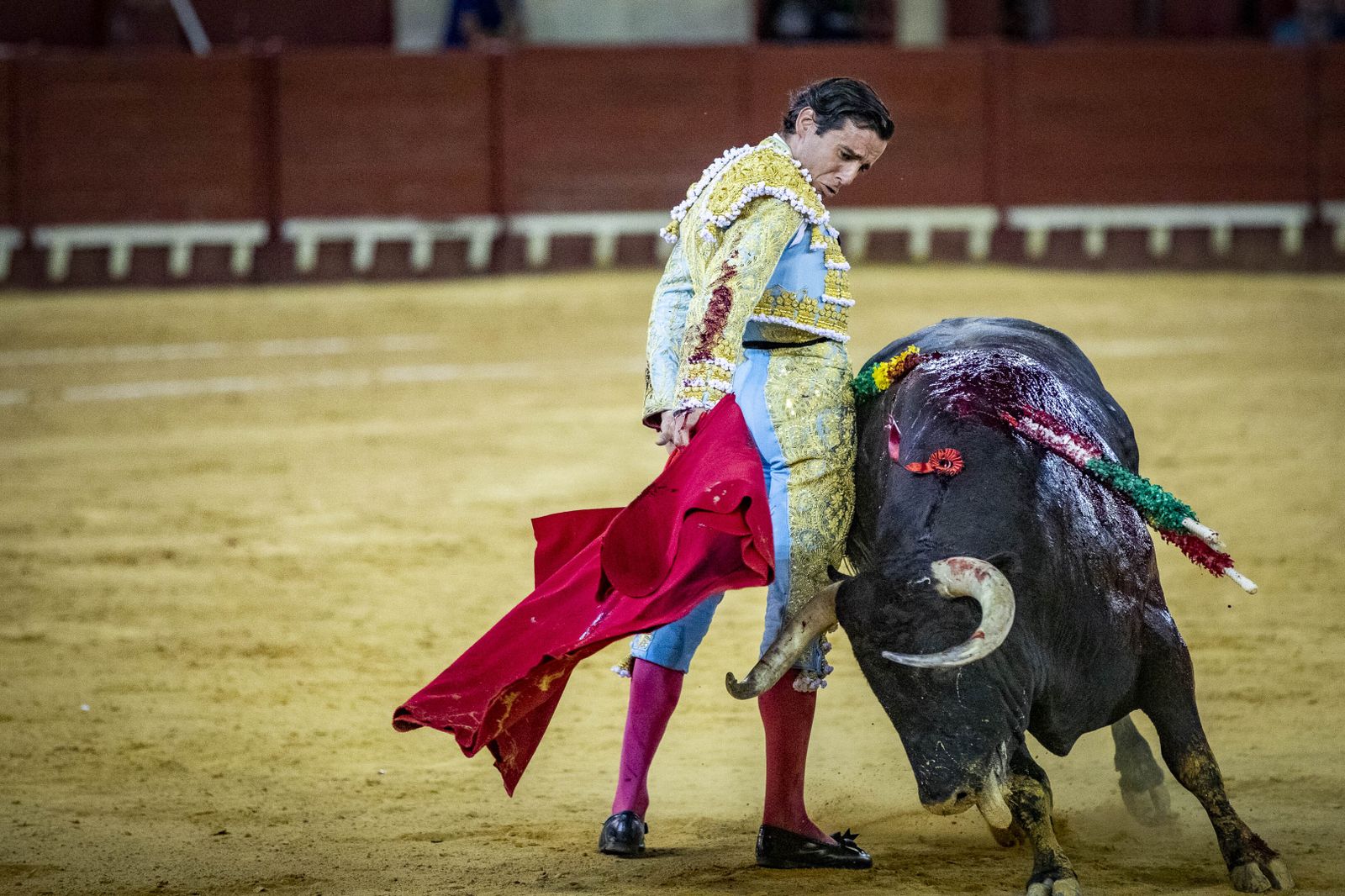 Daniel Crespo, Manzanares y Juan Ortega, en la plaza de toros de El Puerto