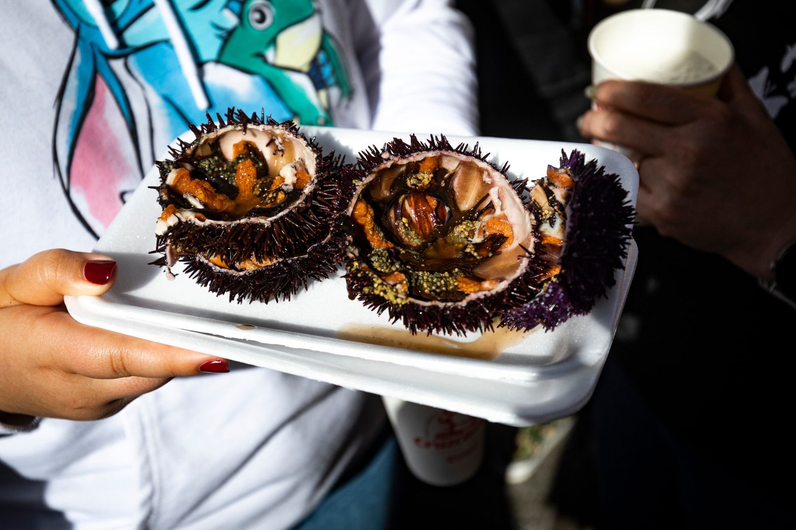 Búscate entre las mejores imágenes de la Erizada 2024 del Carnaval de Cádiz