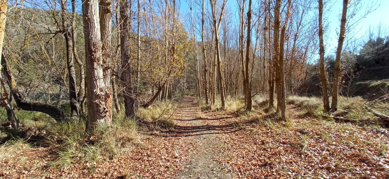 Las imágenes de la ruta del Bosque Encantado de Higueras