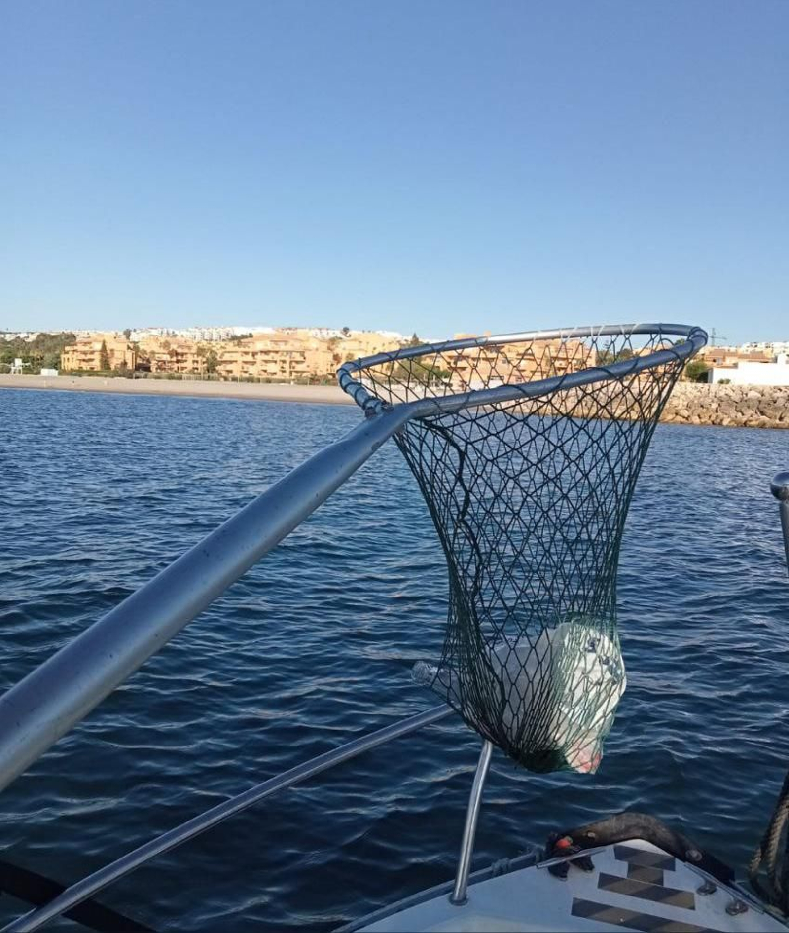 Limpieza del litoral de la Costa del Sol Occidental.